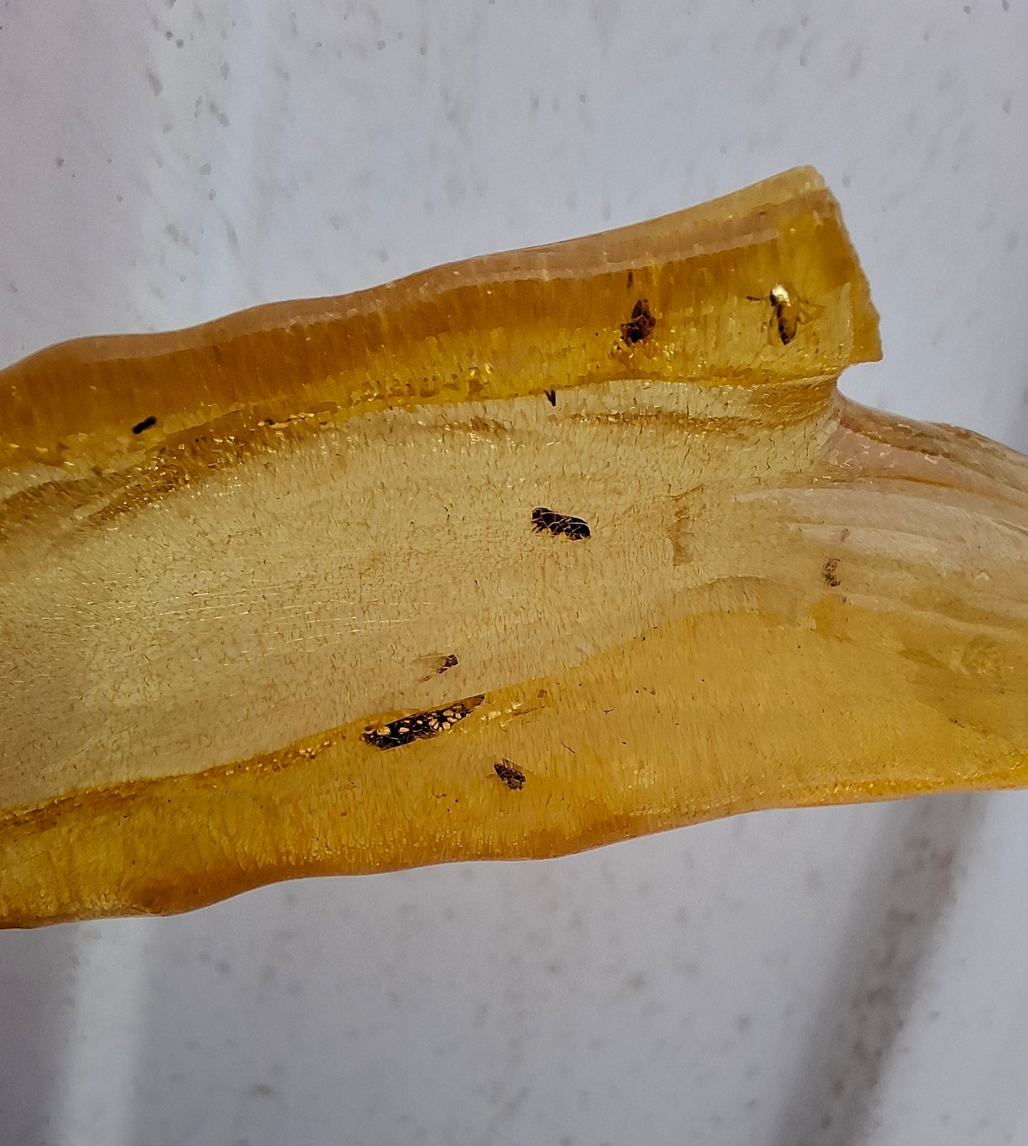 Copal Young Amber with INSECTS inside, 10.79g, Fossil (Ref: CA14)
