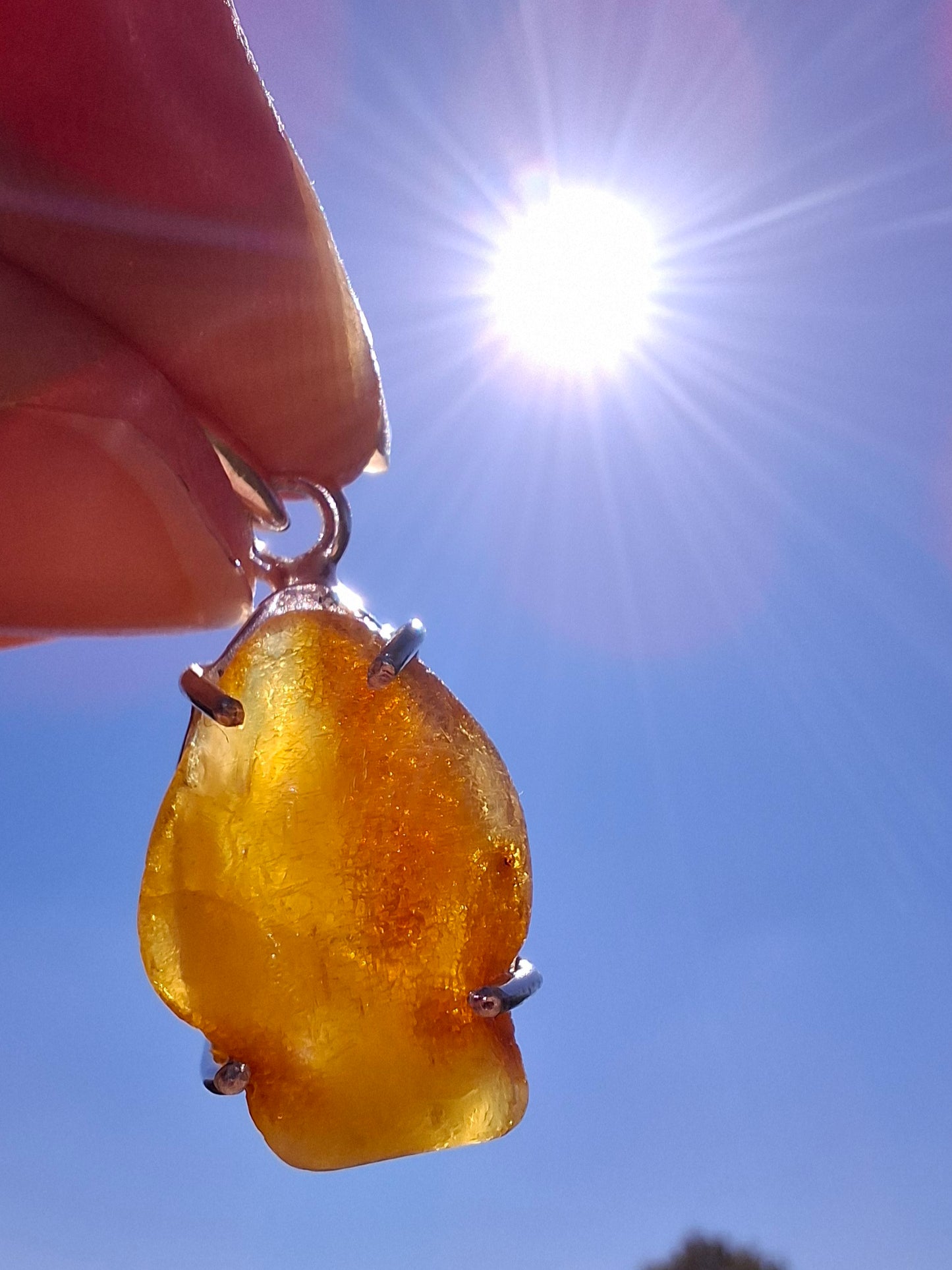 Baltic Amber Pendant, 925 Silver, Fossil (Ref: AP5)