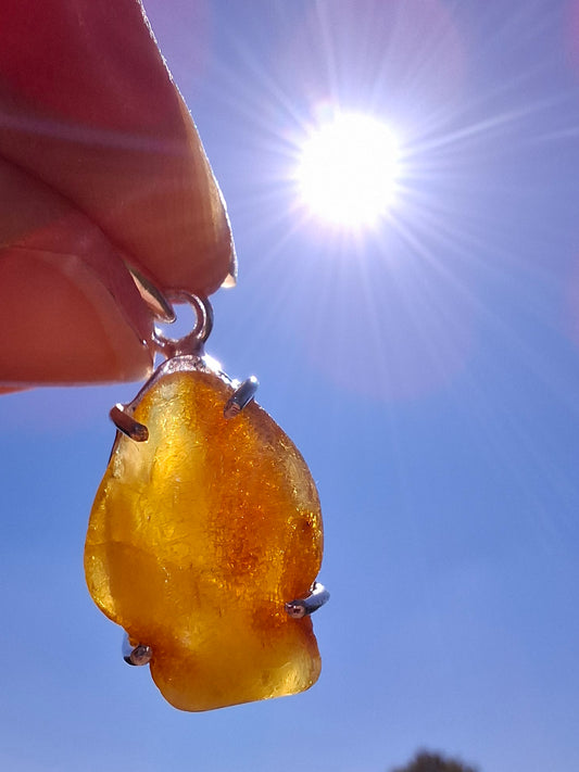 Baltic Amber Pendant, 925 Silver, Fossil (Ref: AP5)