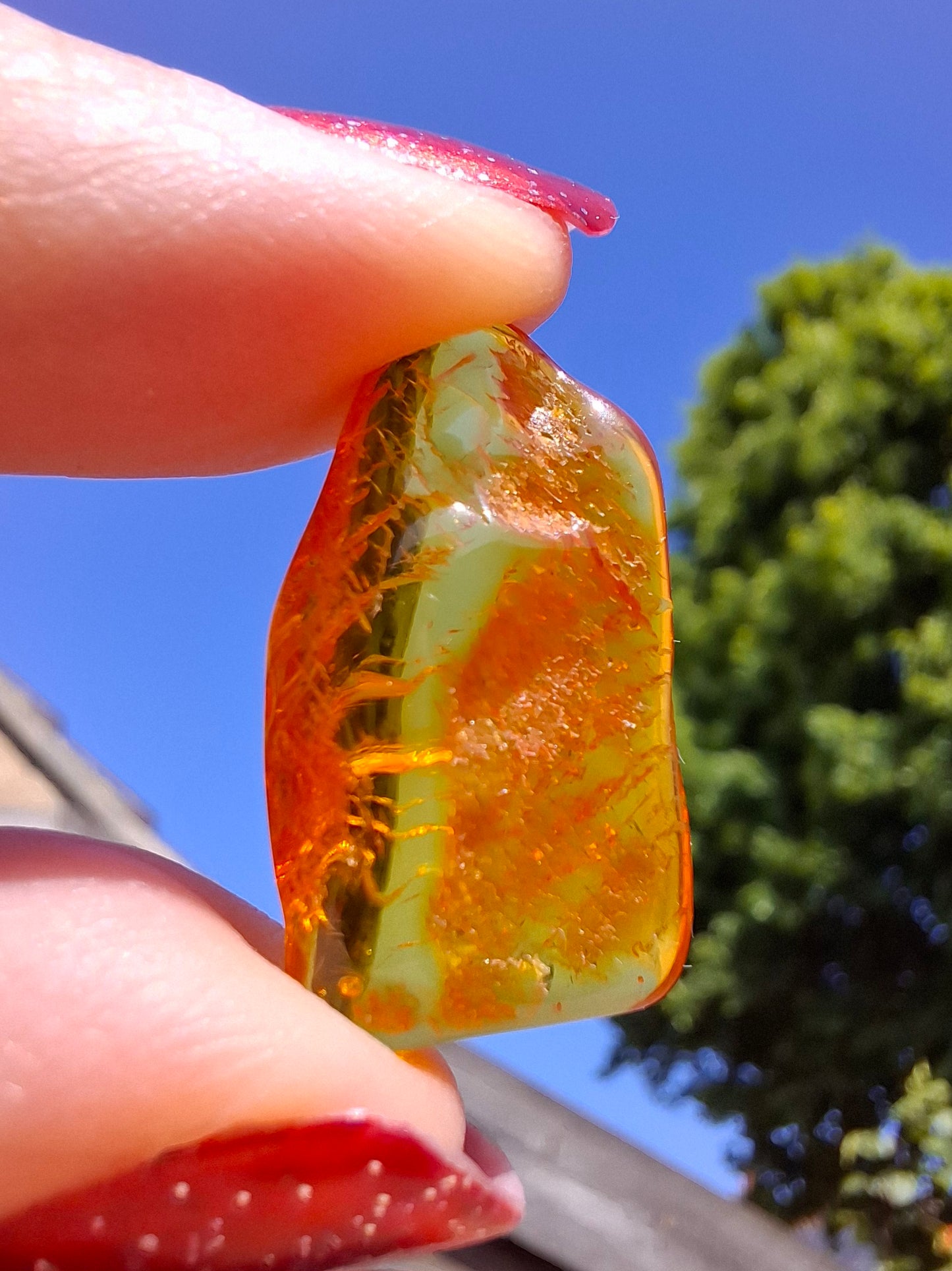 Baltic Amber, 1.11g, Fossil (Ref: A255)