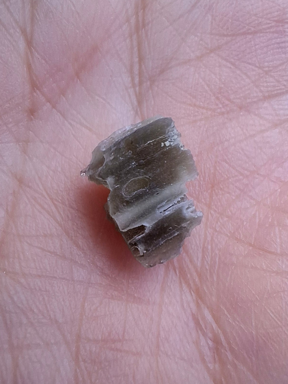Moldavite Piece, SNOWFLAKE, FROSTED, BRUSNA, Tektite (Ref: 1495)
