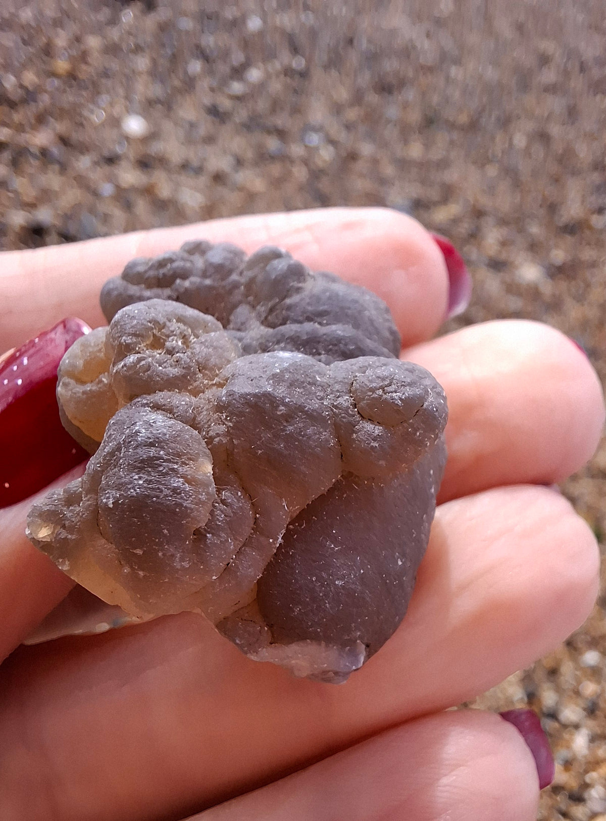 Nebula Chalcedony, 18.80g, Fossil (Ref: NC9)