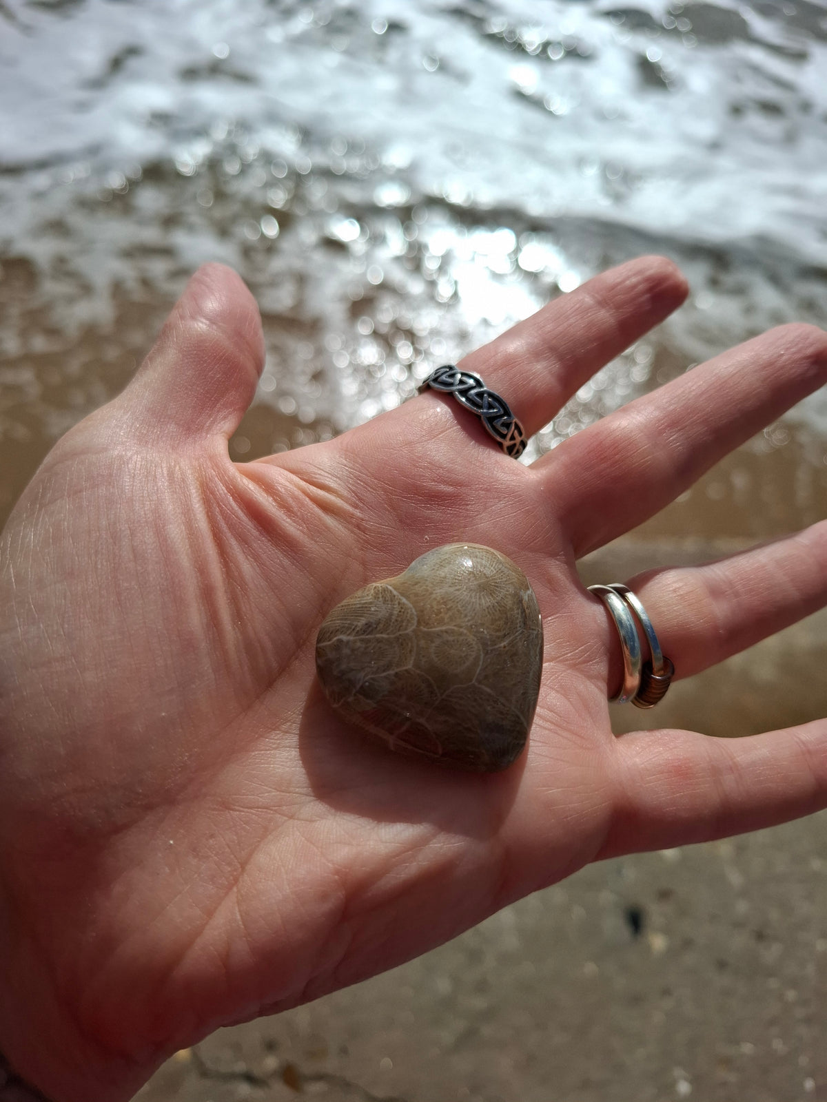 Fossil Coral Heart, (Ref: CoH2)