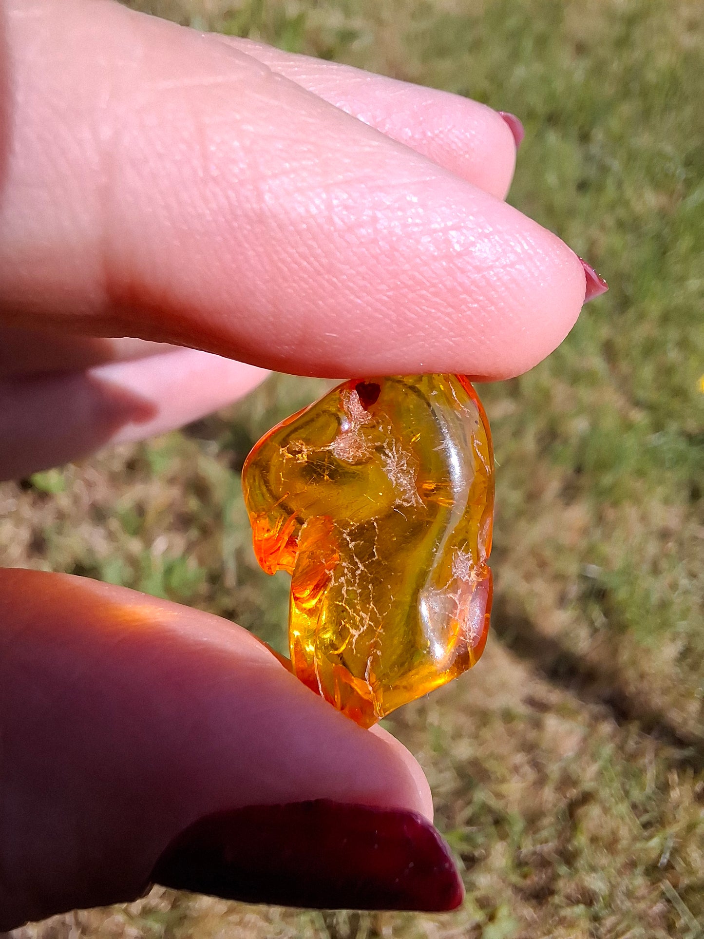 Baltic Amber, 1.31g, Fossil (Ref: A234)