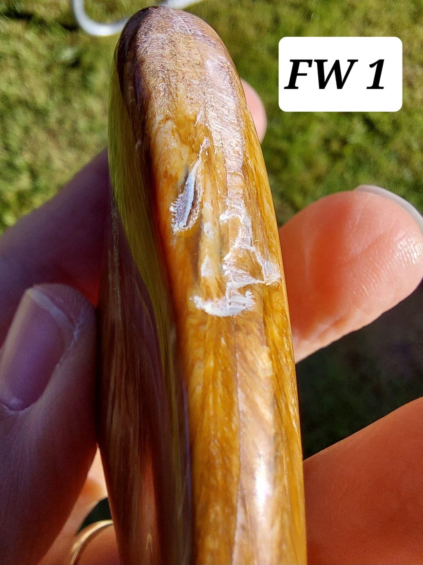 Fossilised Wood (polished), 74.86g, Fossil (Ref: FE1)