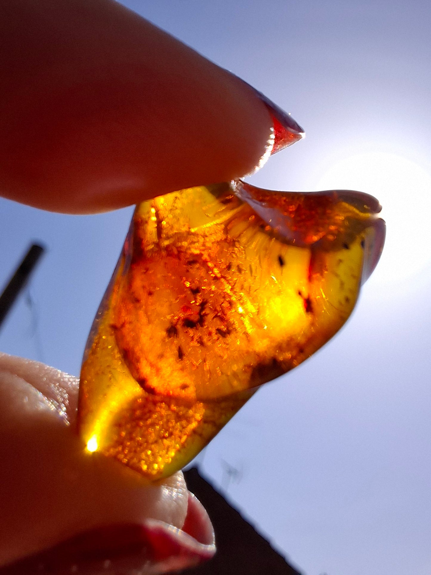 Baltic Amber, 1.47g, Fossil (Ref: A238)