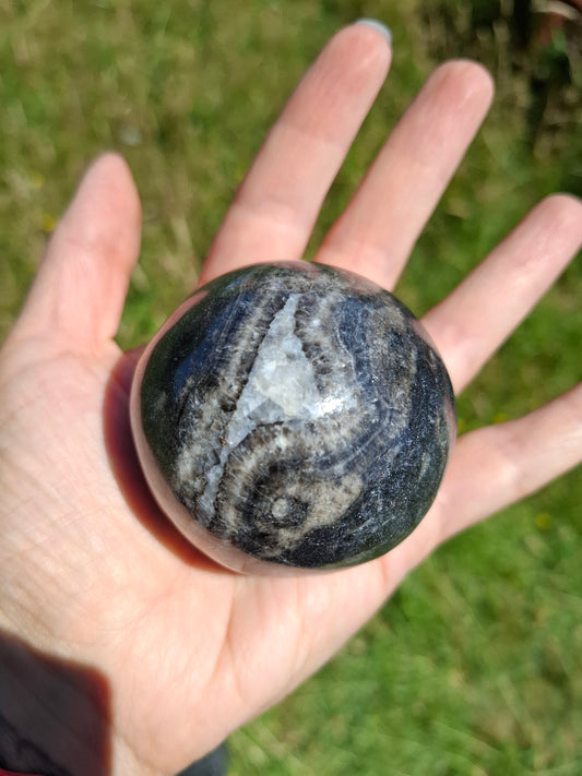 Orthoceras Sphere, Fossil (Ref: OS3)