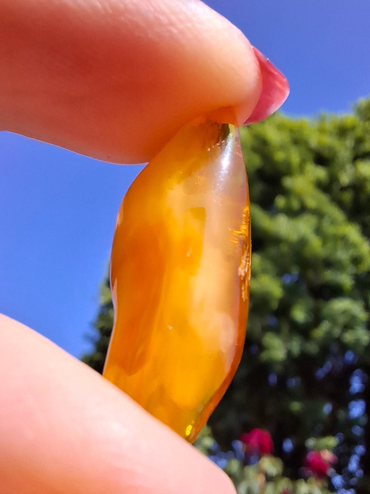 Baltic Amber, 1.68g, Fossil (Ref: A233)