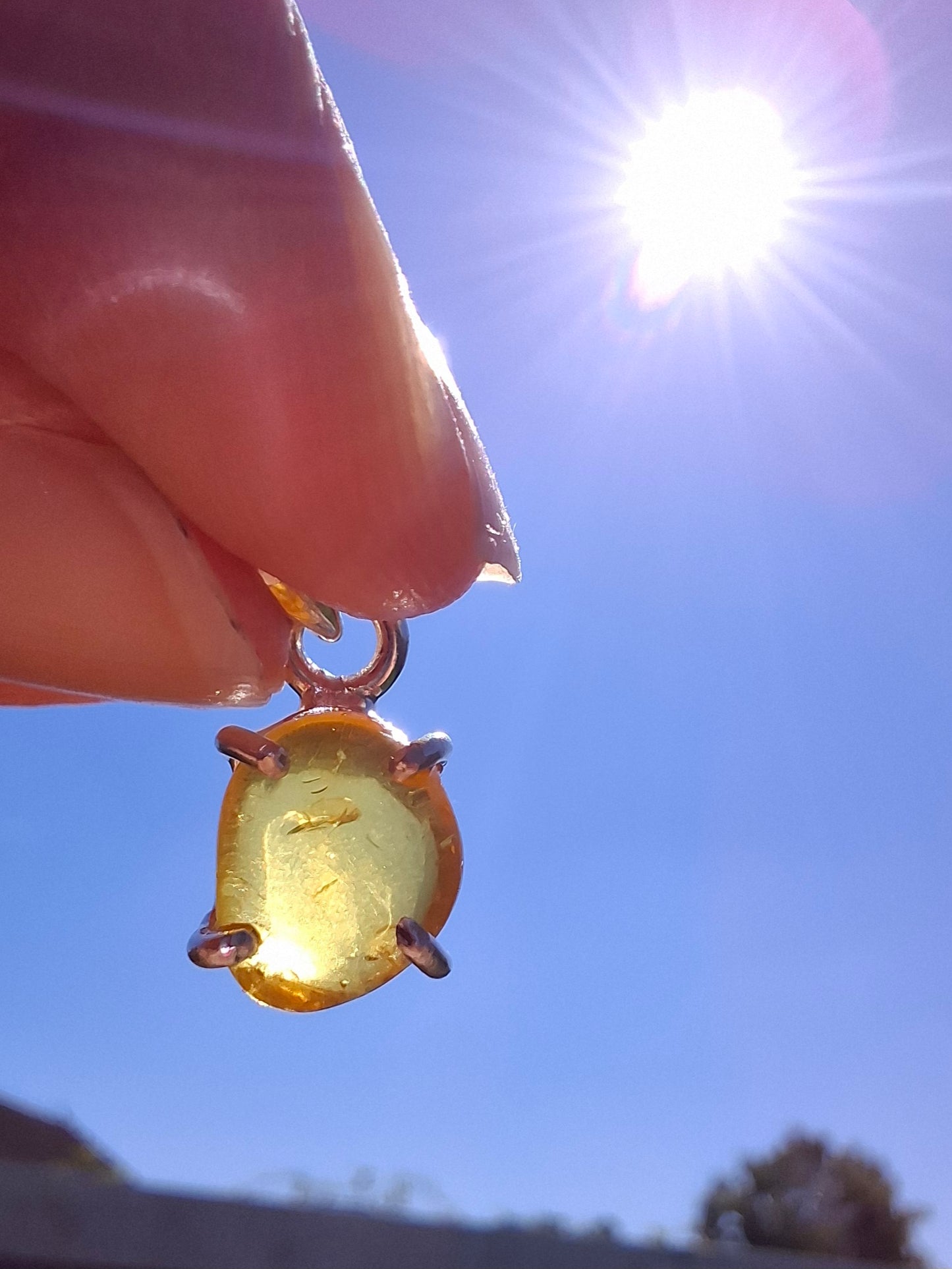 Baltic Amber Pendant, 925 Silver, Fossil (Ref: AP16)