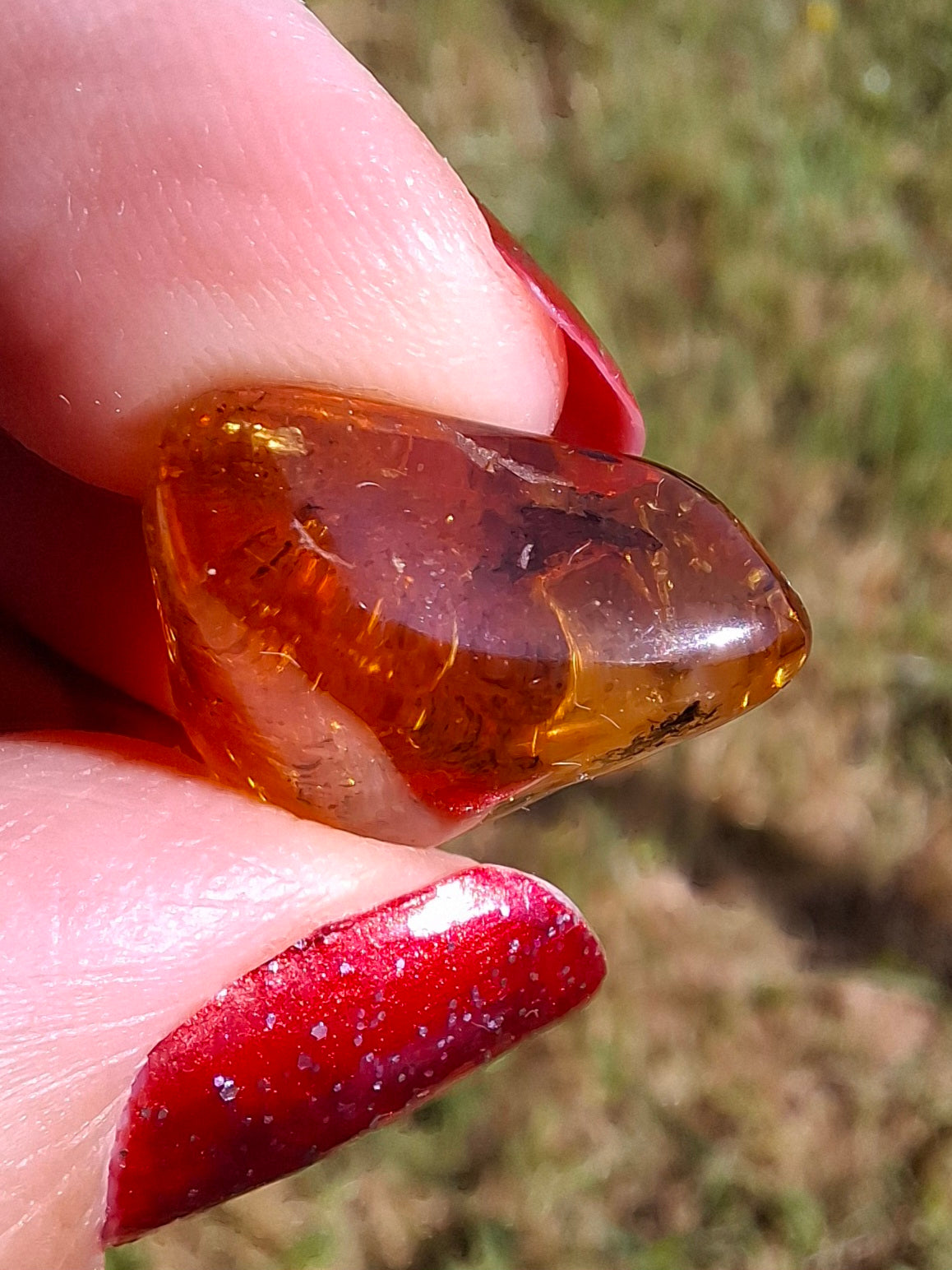 Baltic Amber, 1.61g, Fossil (Ref: A186)