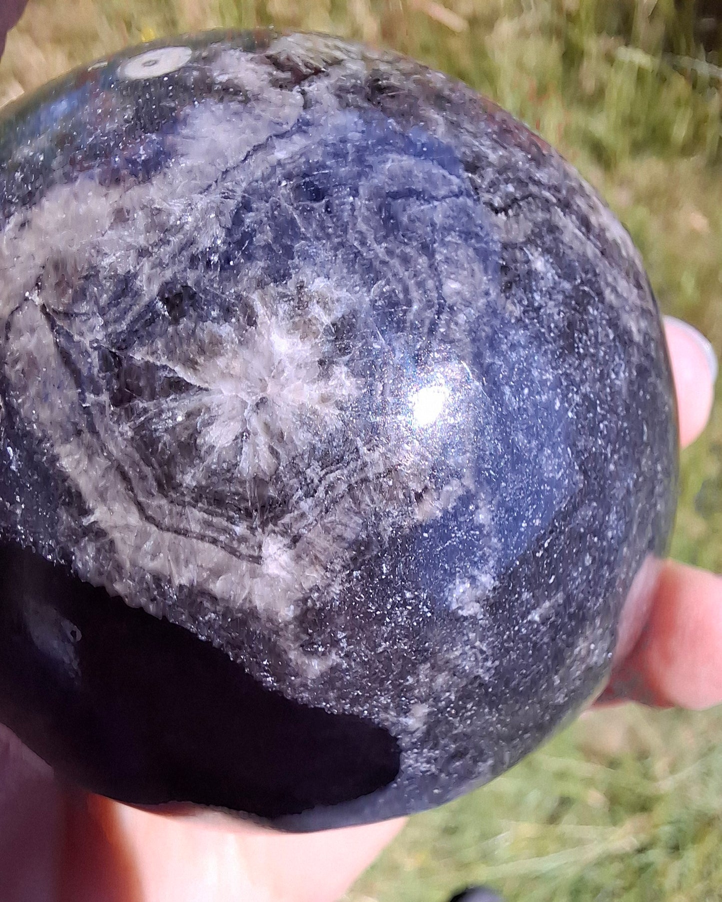 Orthoceras Sphere, Fossil (Ref: OS3)