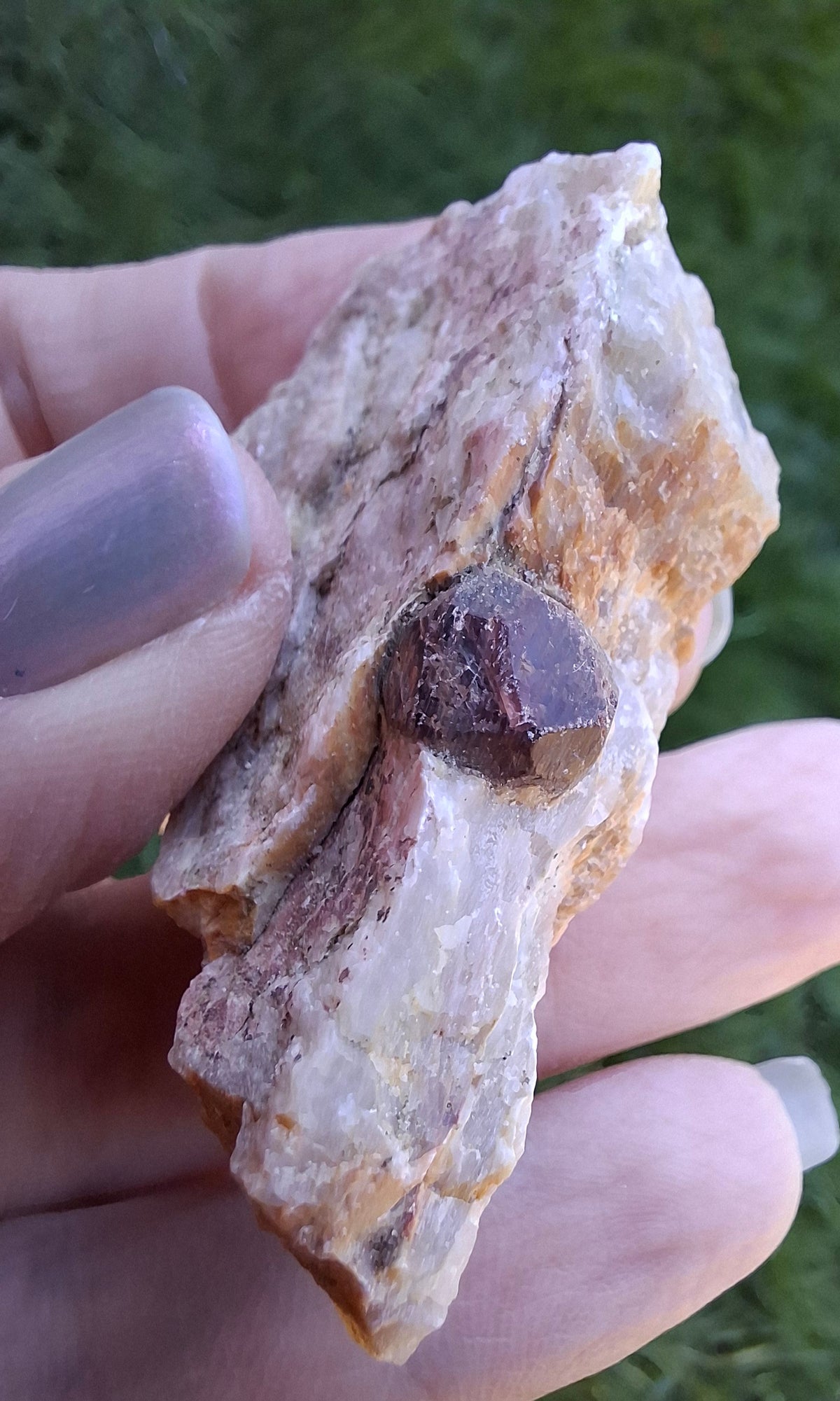(Dig your own) Garnet in Matrix, Crystal (Ref: RG4)