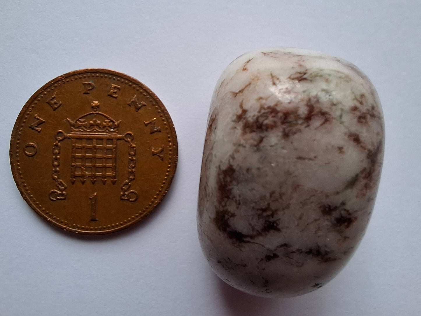 Tree Agate, Tumble Stone, Crystal (Ref: T6)