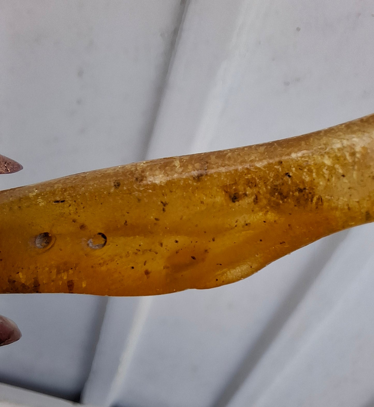 Copal Young Amber with INSECTS inside, 5.07g, Fossil (Ref: CA35)
