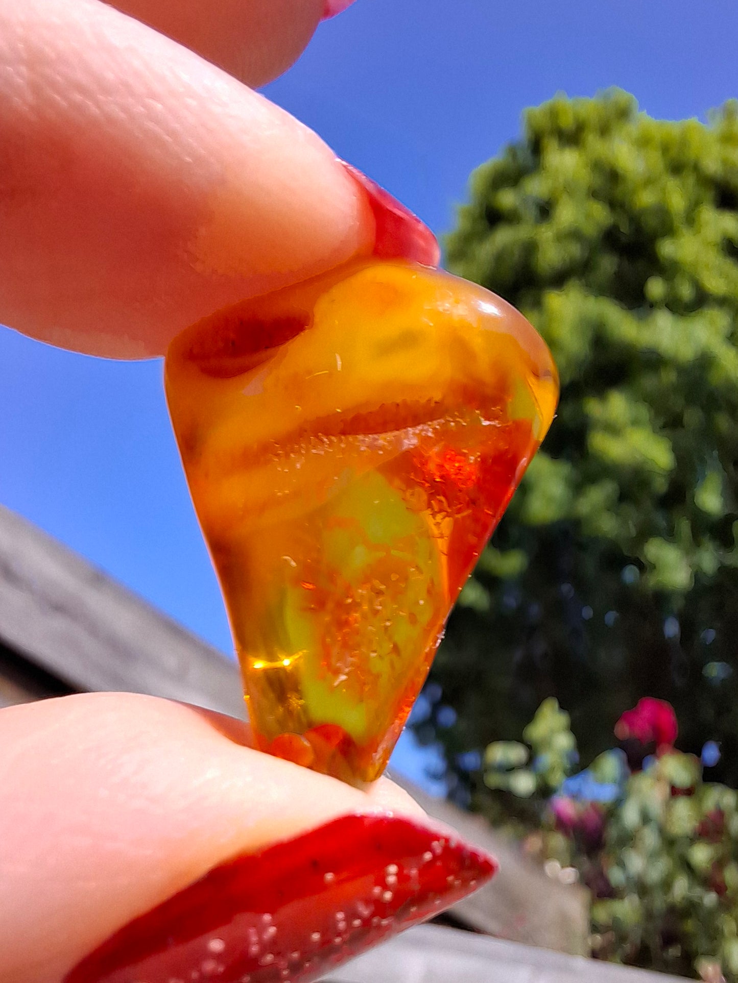 Baltic Amber, 1.52g, Fossil (Ref: A189)