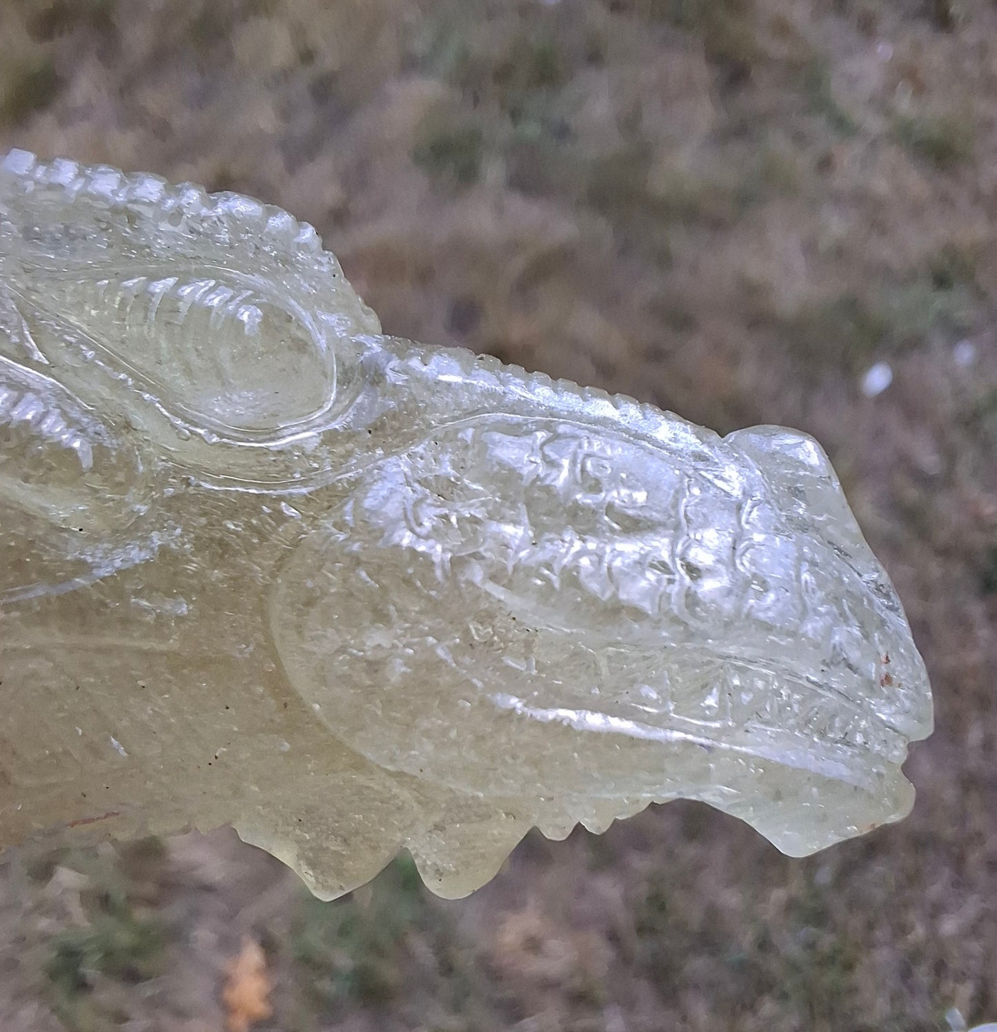 Libyan Desert Glass DRAGON HEAD carving, 48.11g, Tektite (Ref: Dragon4)