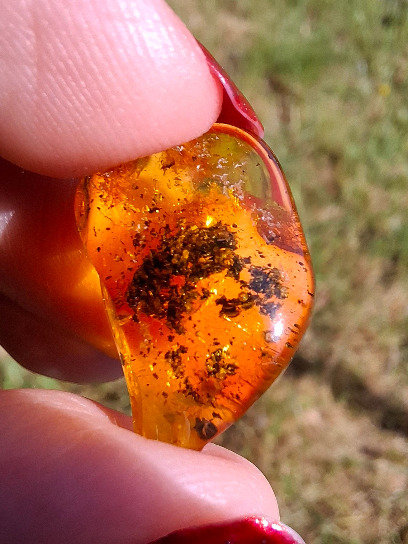 Baltic Amber, 1.13g, Fossil (Ref: A241)