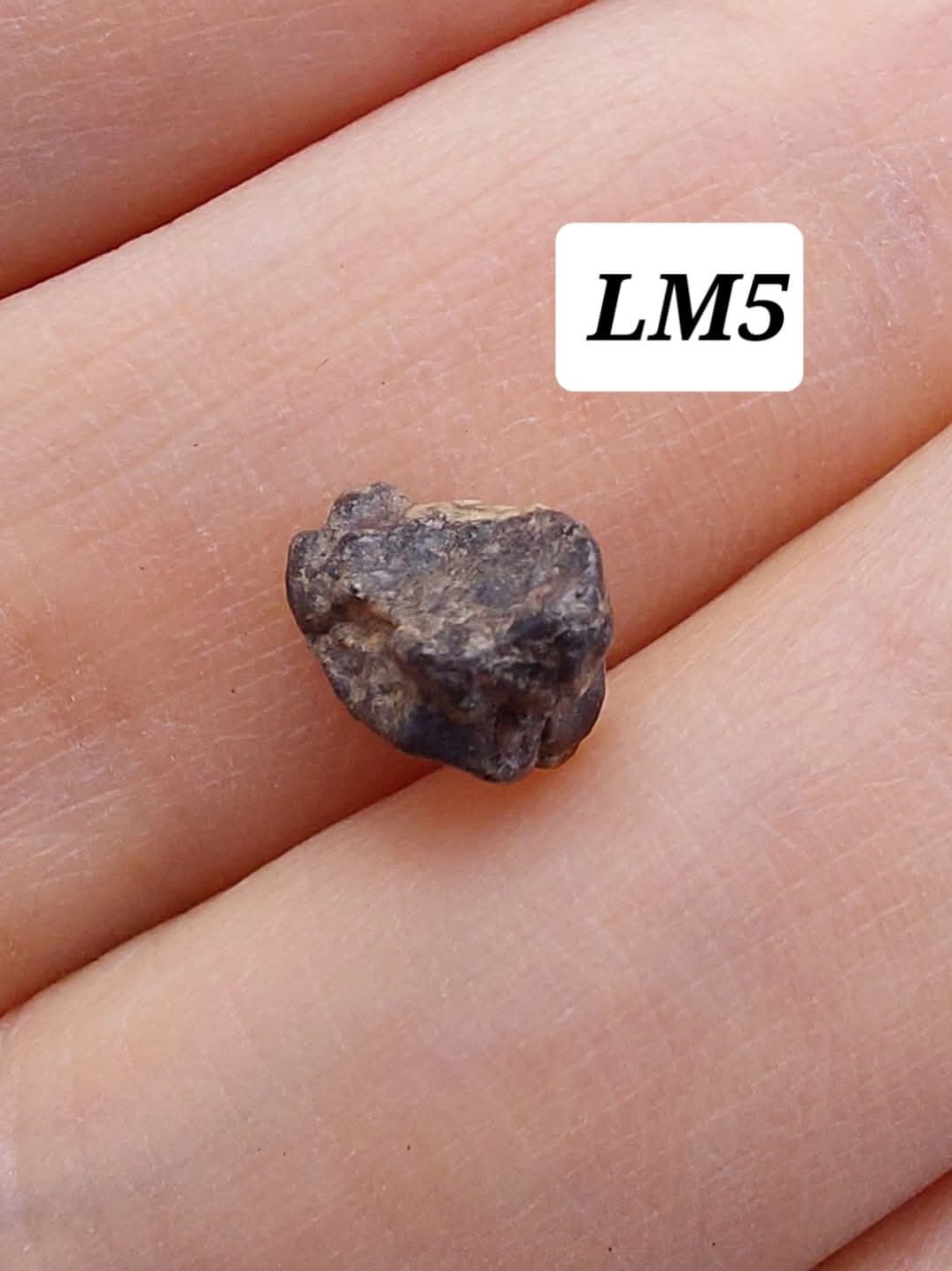 Lunar Meteorite, 0.32g, 'Moon Rock' (Ref: LM5)