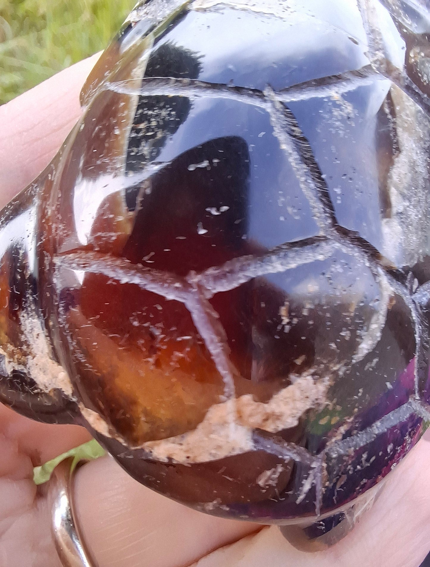 Red Amber Turtle, 50.00g, Carving, Fossil (Ref: TT6)