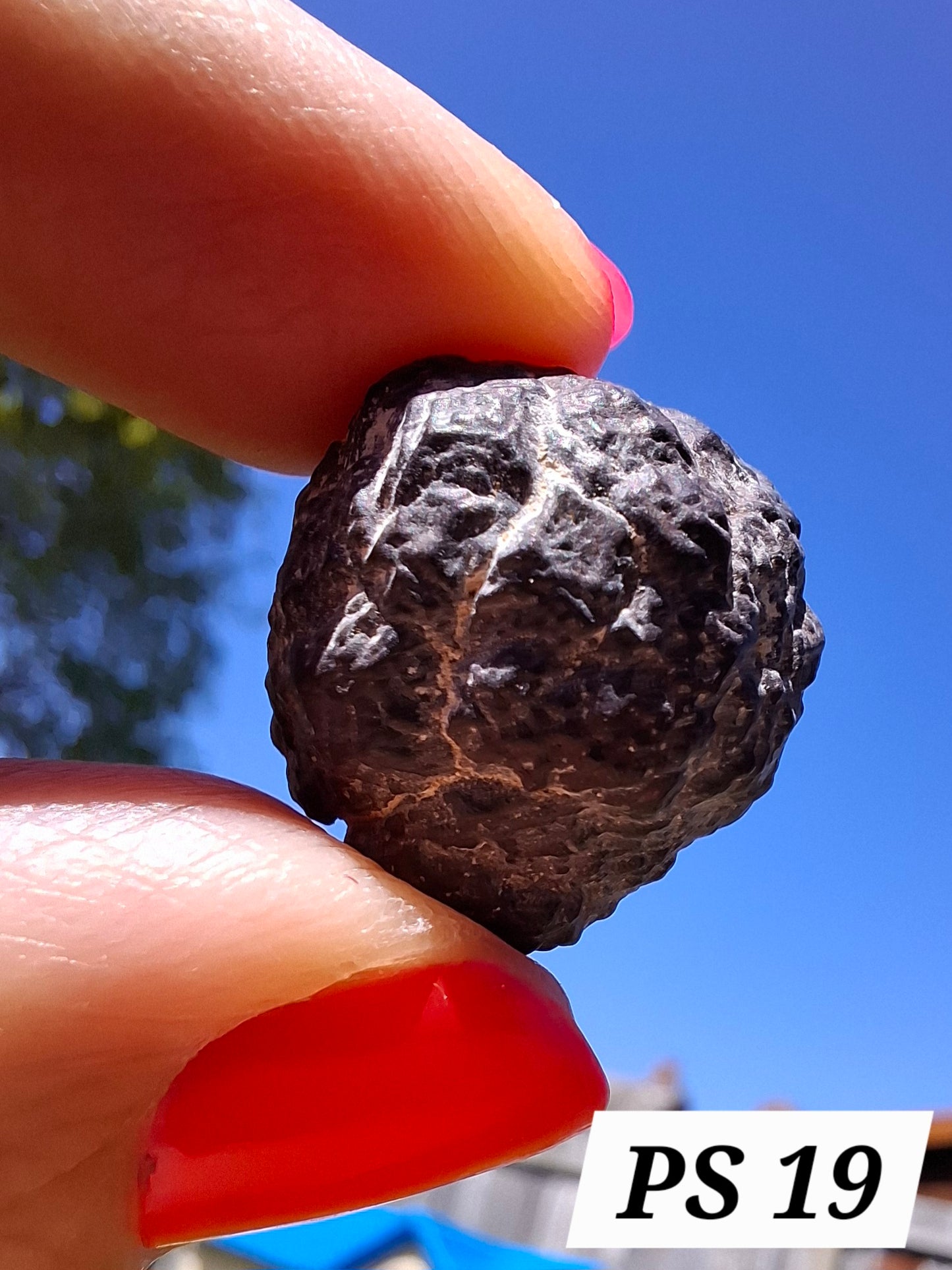 Prophecy Stone, 11.71g (Ref: PS19)