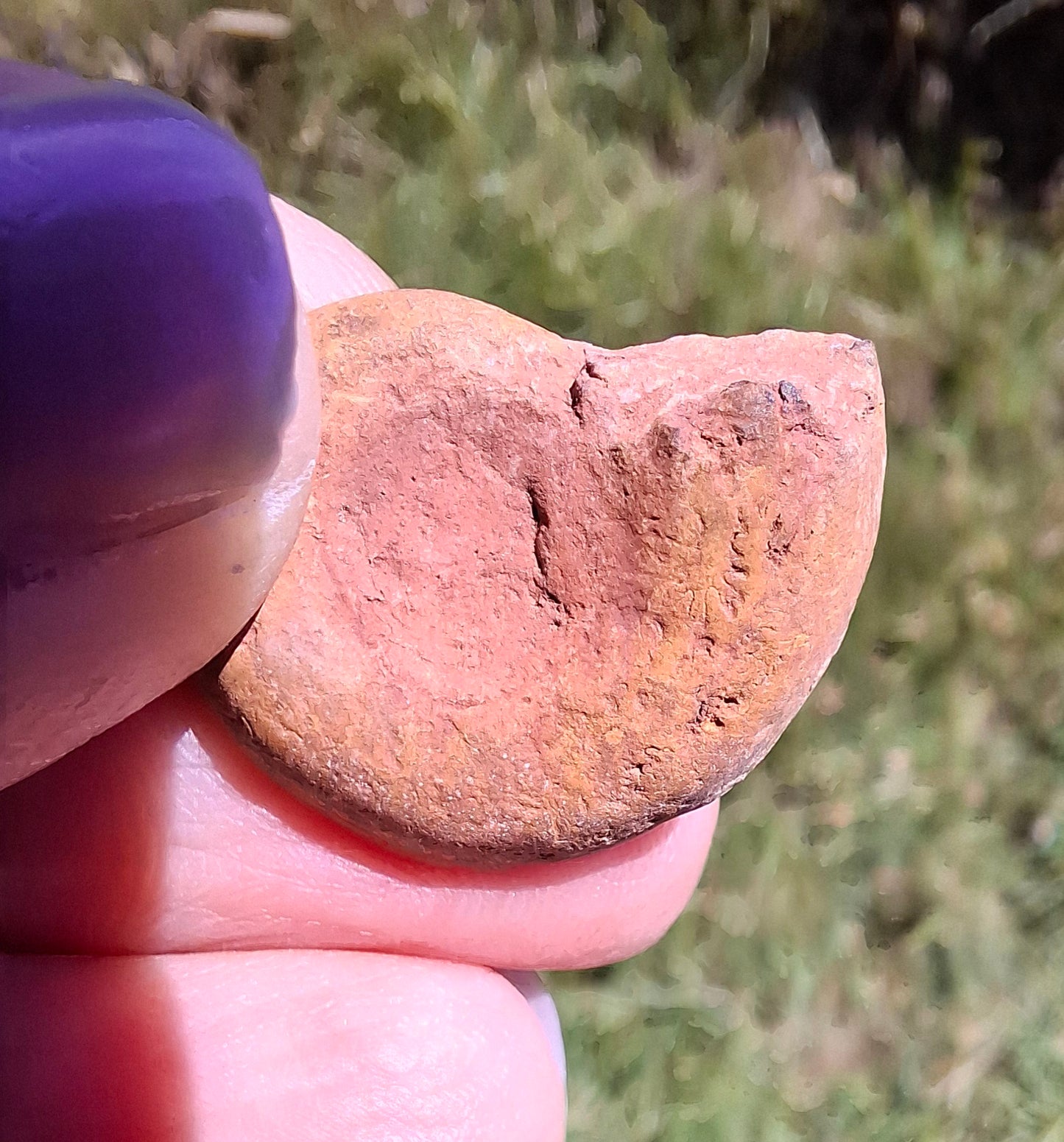 Small Haematite Ammonite HALF, (2.91g), Fossil (Ref: MA1)