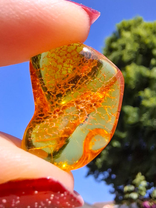 Baltic Amber, 1.07g, Fossil (Ref: A98)