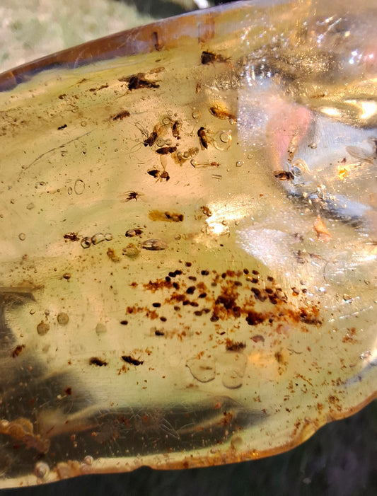 Copal Young Amber with INSECTS inside, 28.43g, Fossil (Ref: CA10)