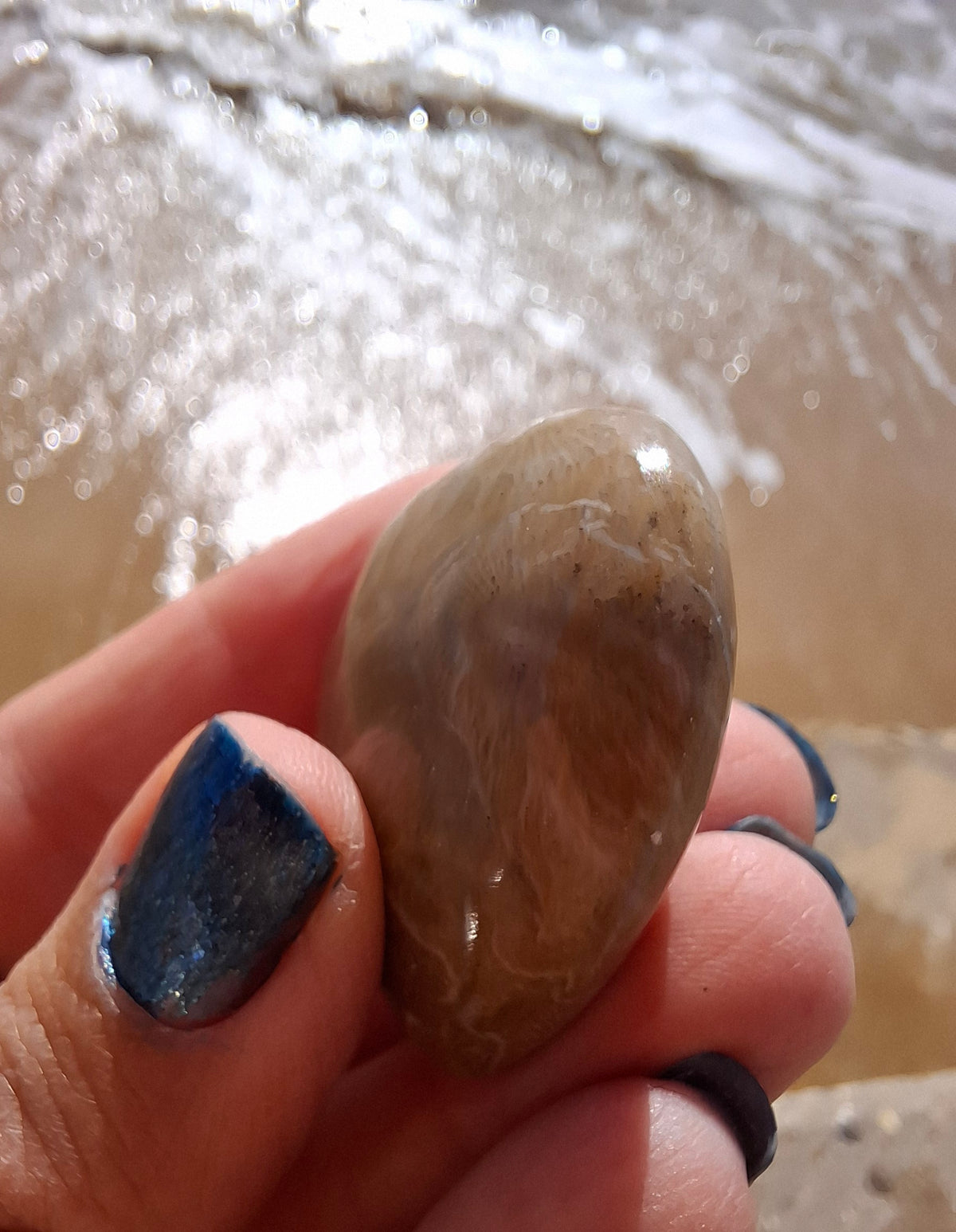Fossil Coral Heart, (Ref:CoH1)