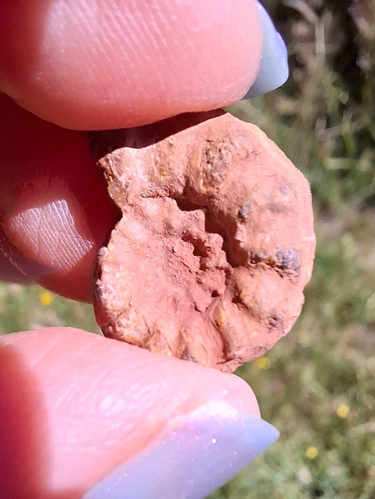 Small Haematite Ammonite HALF, 1.41g, Fossil (Ref: MA6)