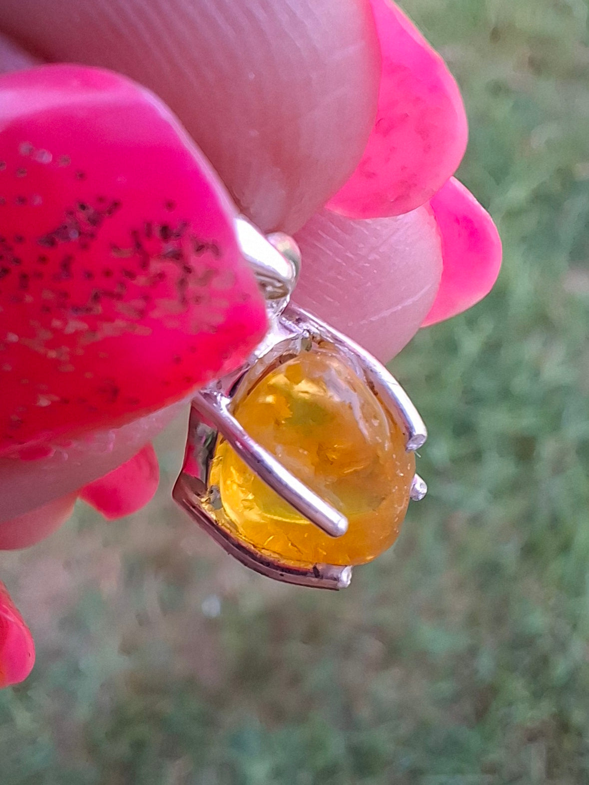 Baltic Amber Pendant, 925 Silver, Fossil (Ref: AP25)