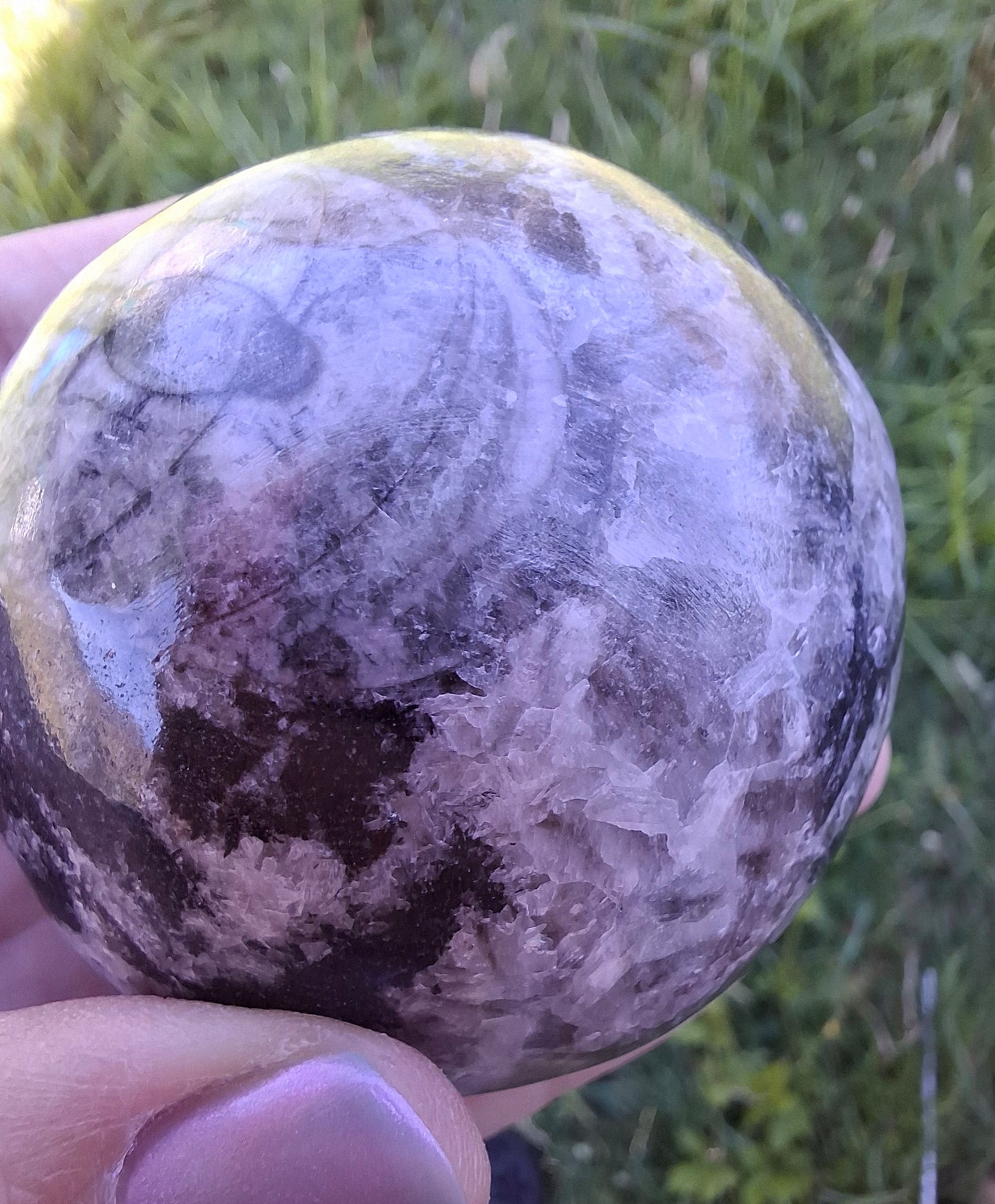 Orthoceras Sphere, Fossil (Ref: OS2)