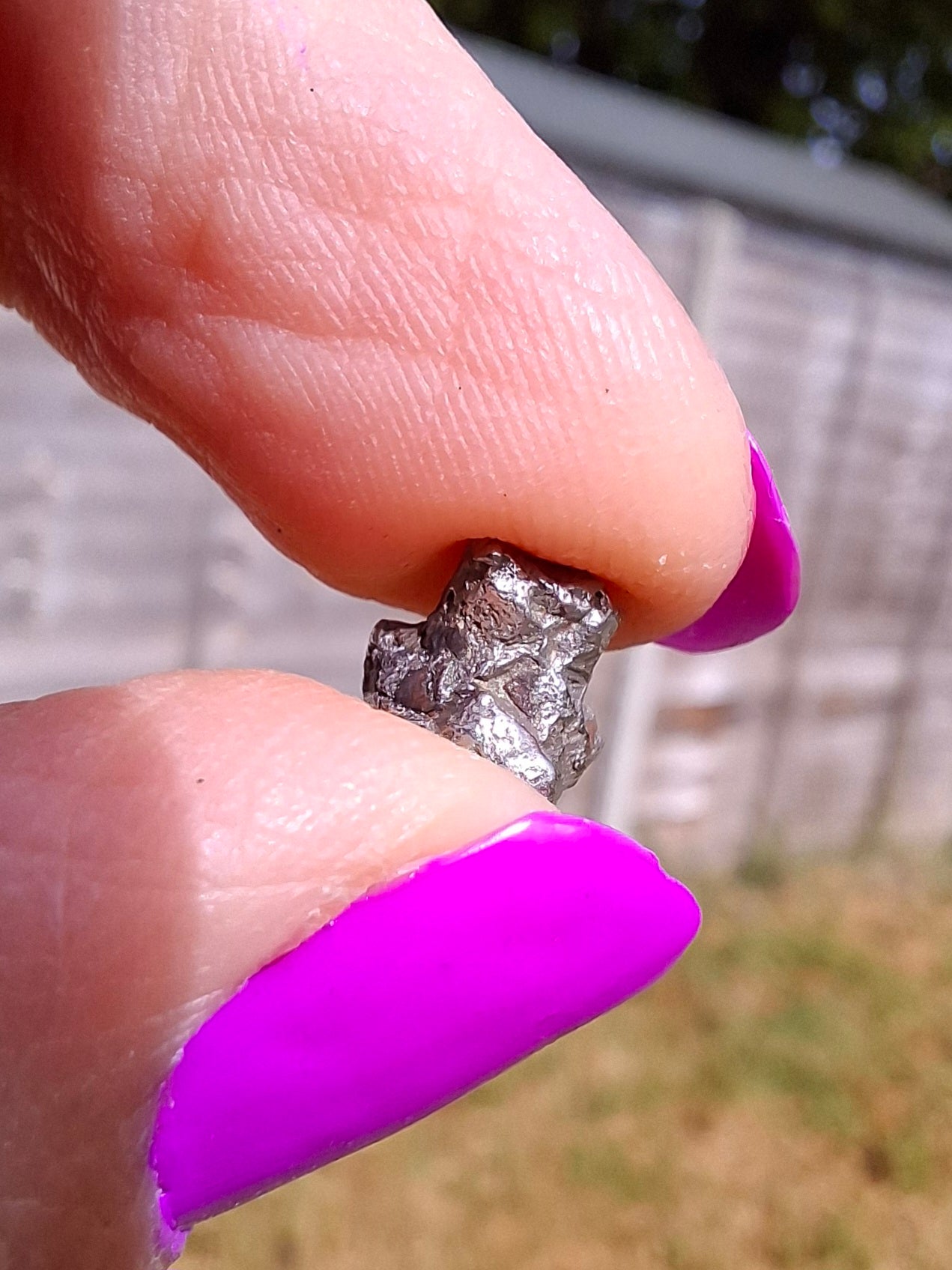 Campo del Cielo, 1.18g, Nickel Iron Meteorite (Ref: C10)