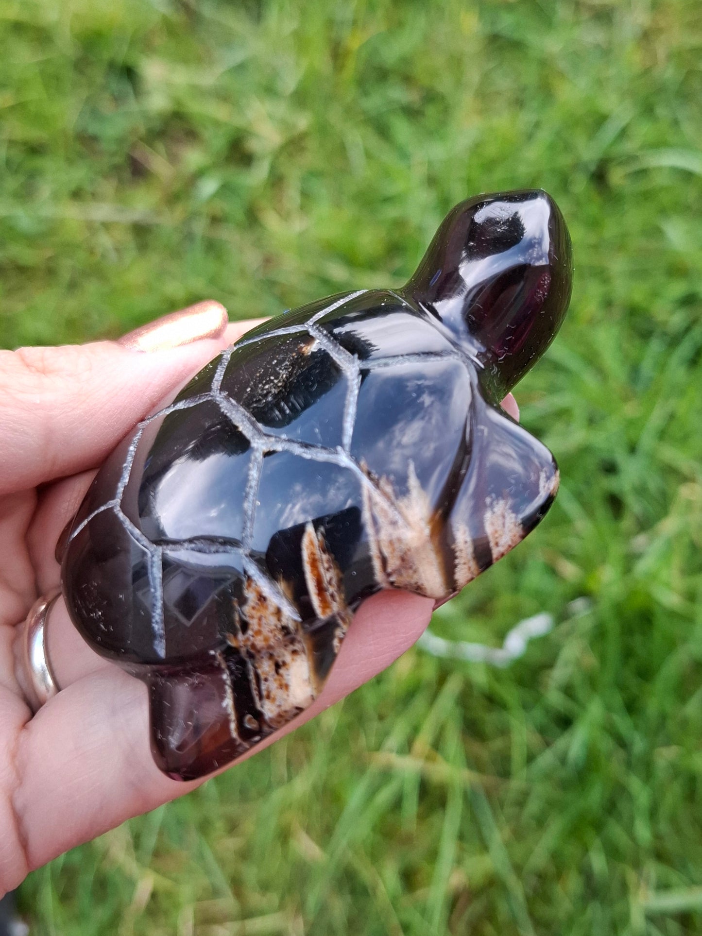 Red Amber Turtle, 47.85g, Carving, Fossil (Ref: TT4)