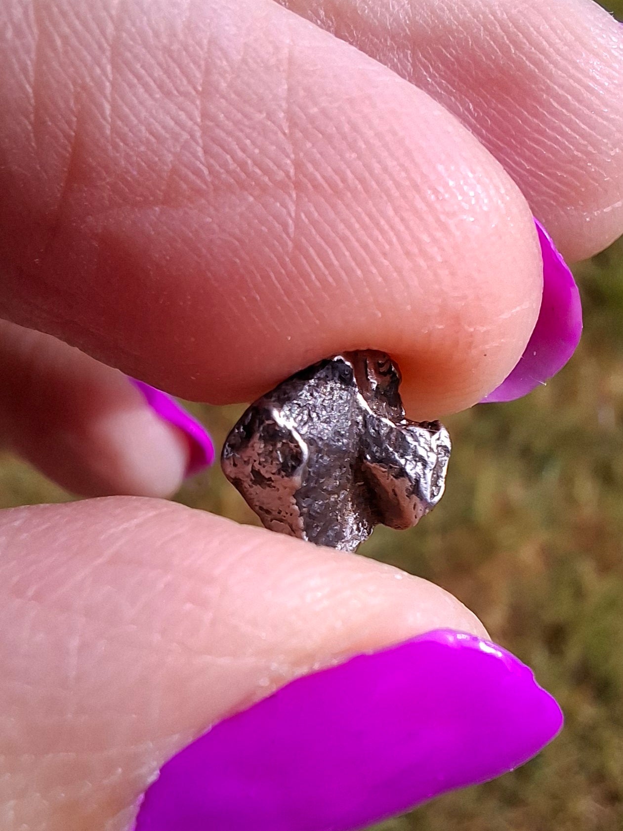 Campo del Cielo, 0.91g, Nickel Iron Meteorite (Ref: C1)
