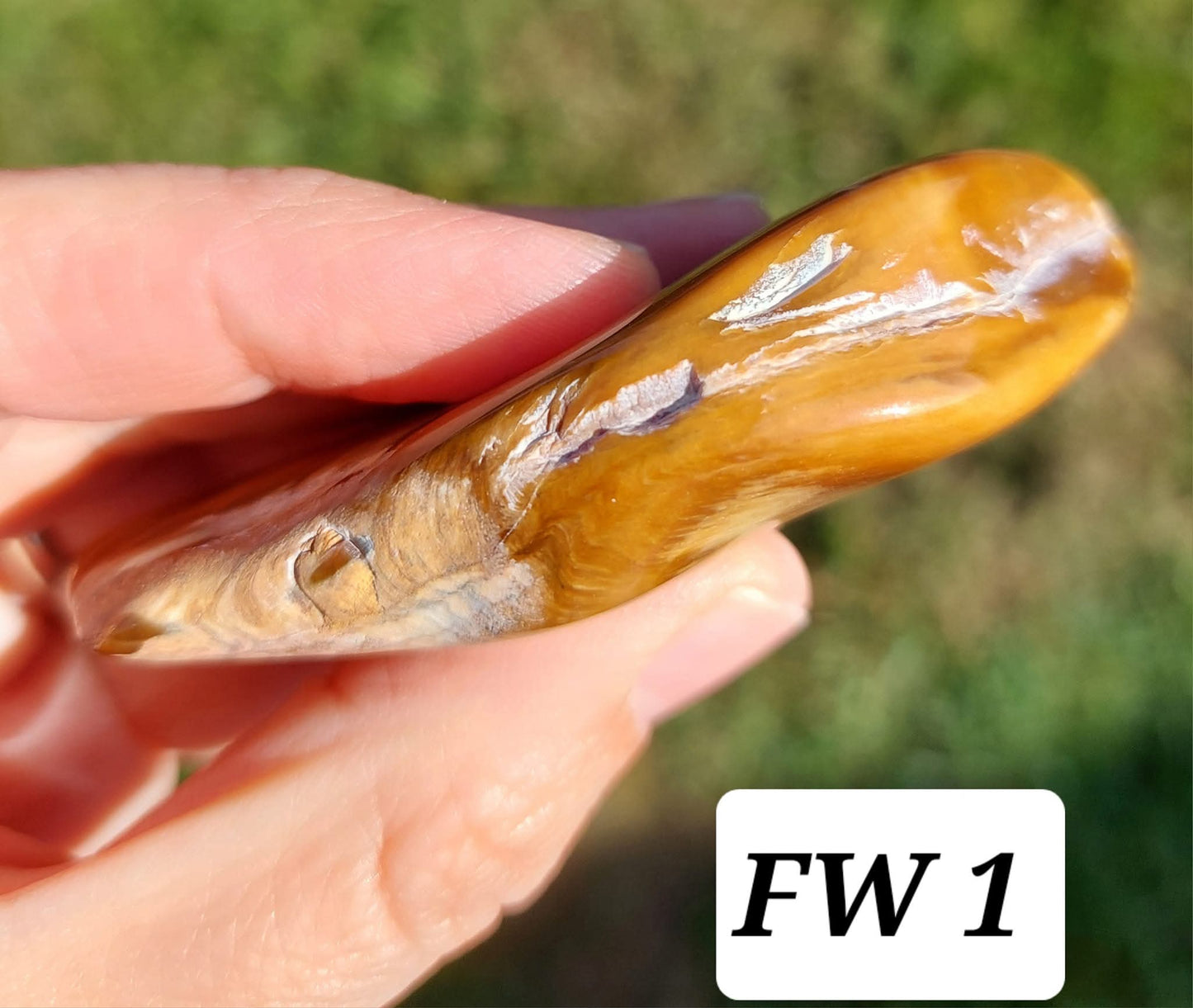 Fossilised Wood (polished), 74.86g, Fossil (Ref: FE1)
