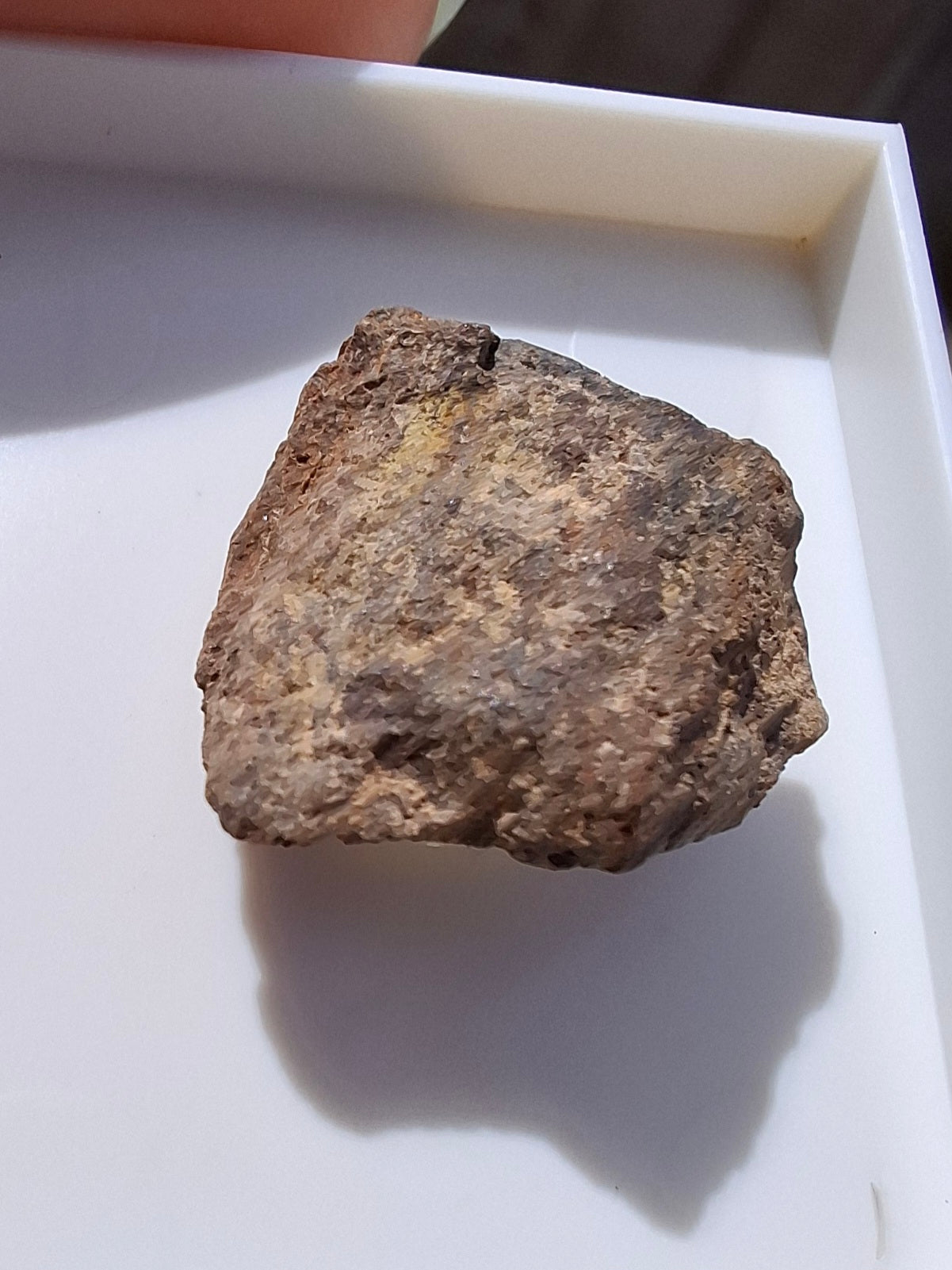 Chondrite, Meteorite (Ref: CM6)