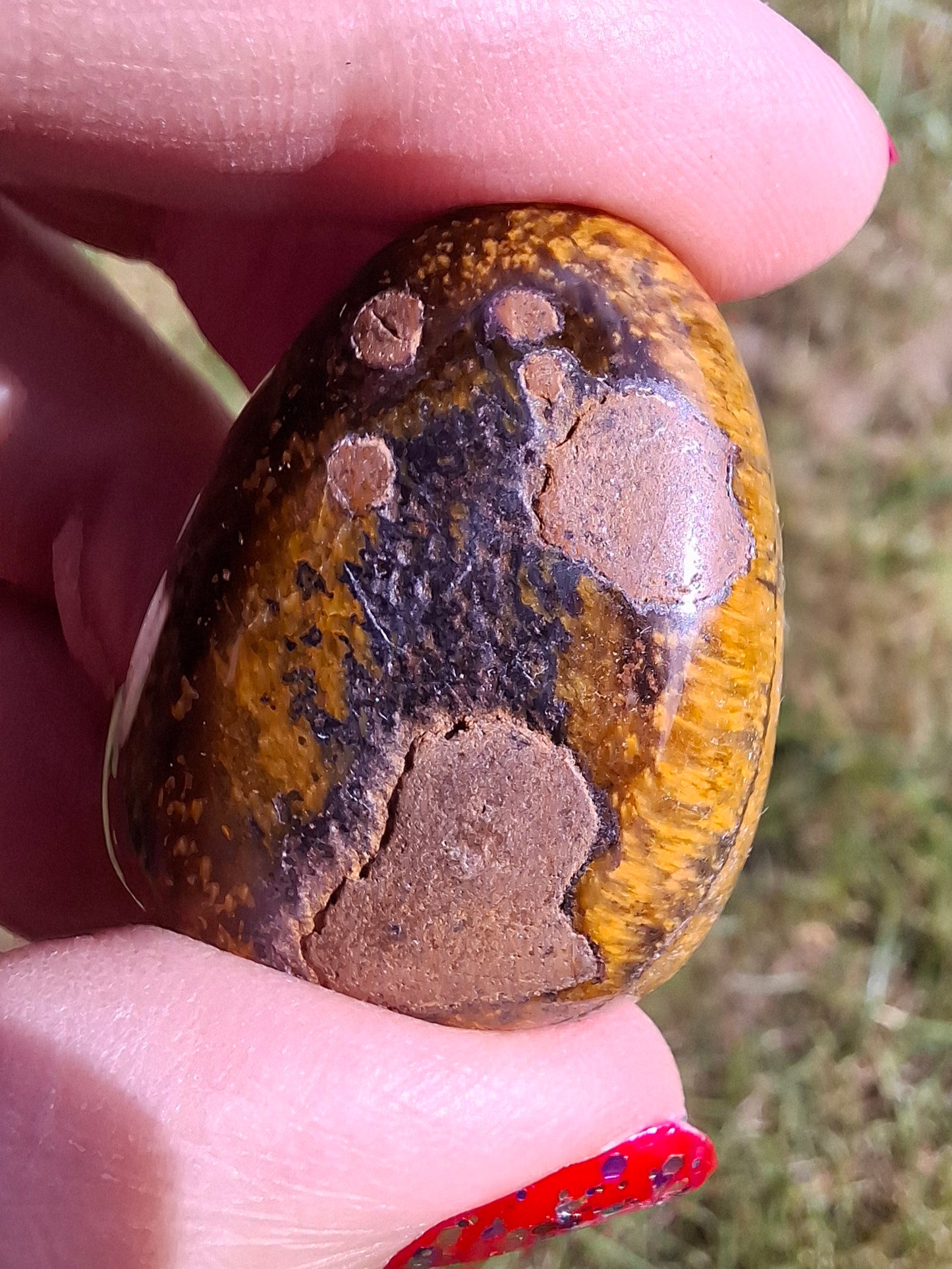Tigers Eye, Tumble Stone, Crystal (Ref: T129)