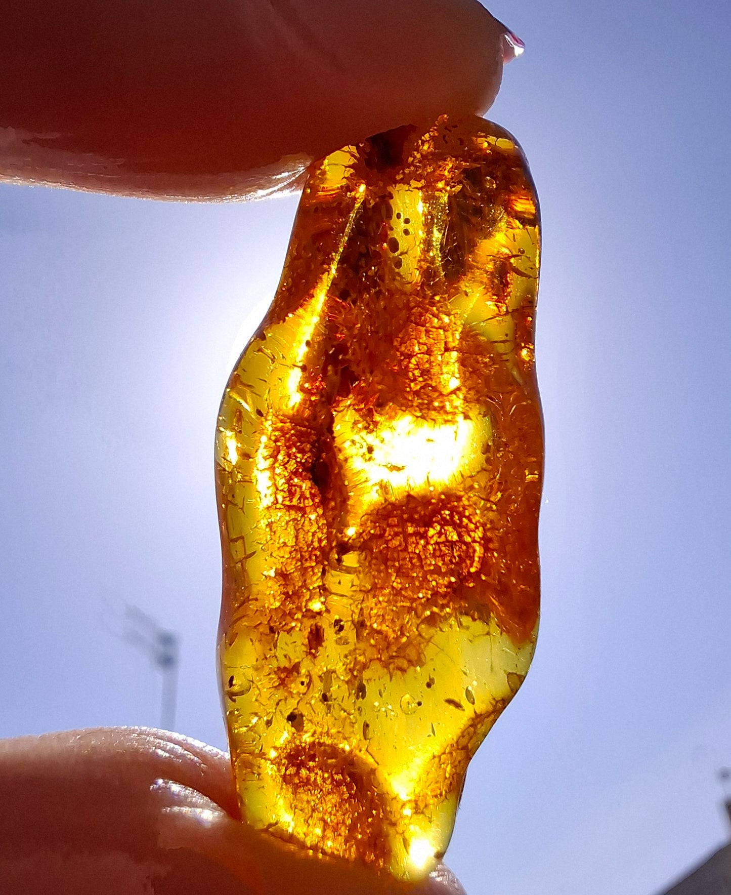 Baltic Amber, 2.95g, Fossil (Ref: A159)