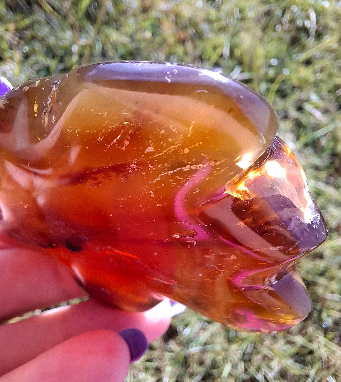 Red Amber Turtle, 49.15g, Carving, Fossil (Ref: TT1)