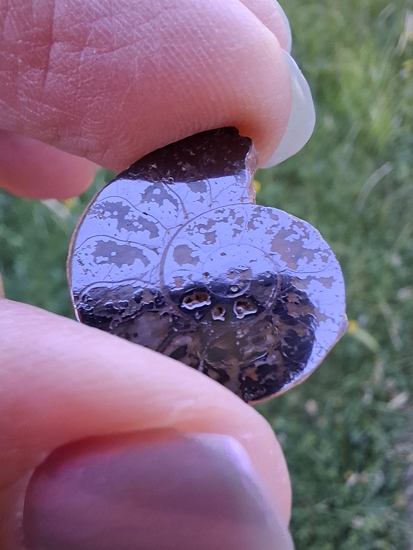 Small Haematite Ammonite HALF, 2.19g, Fossil (Ref: MA3)