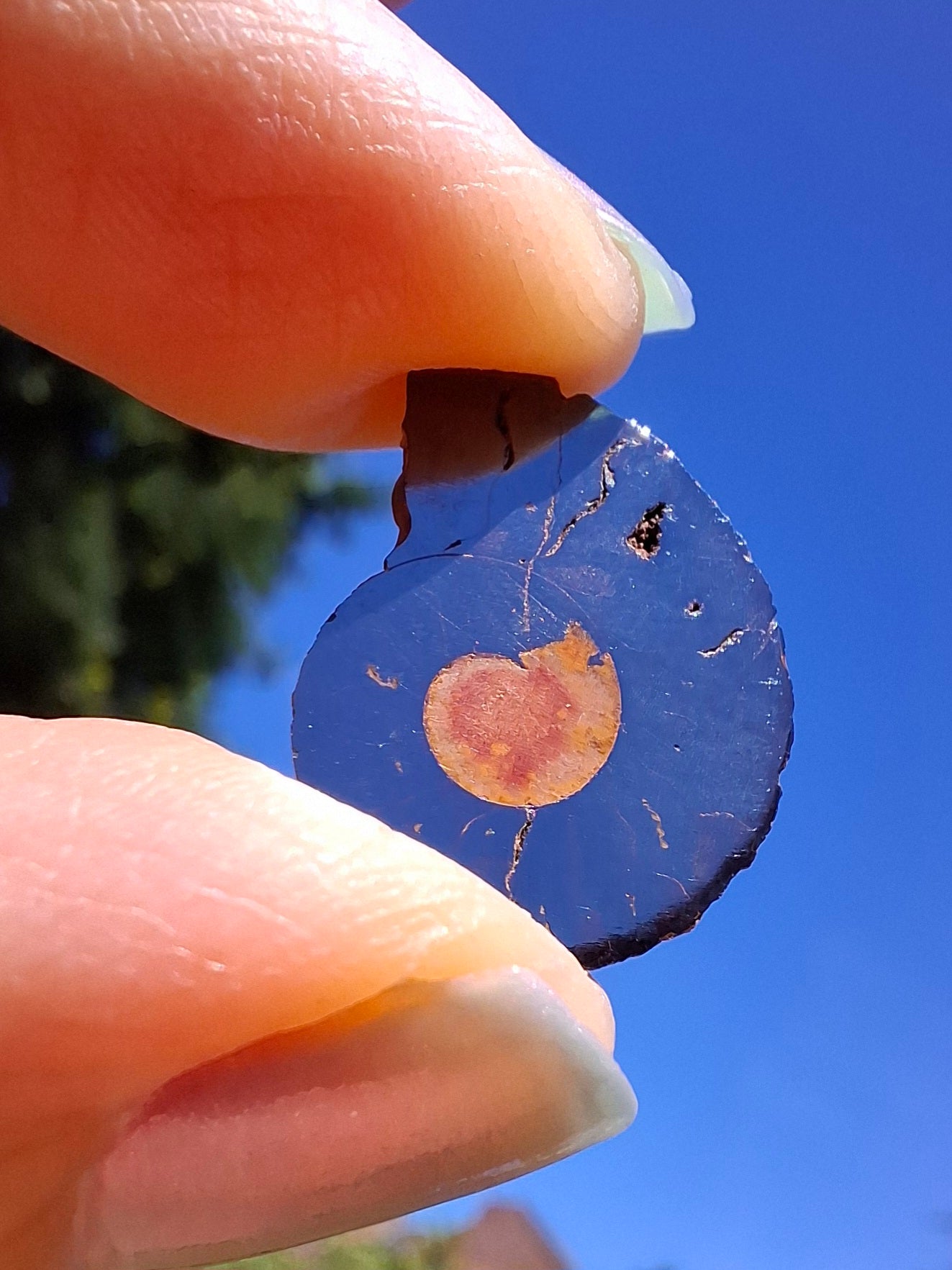 Small Haematite Ammonite HALF, 1.19g, Fossil (Ref: MA11)