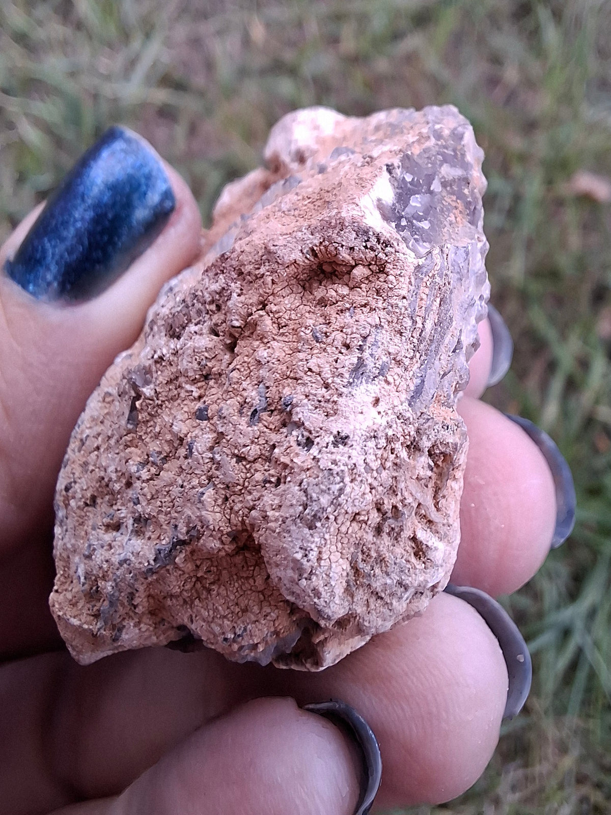 Chalcedony Oyster, Fossil (Ref: FO2)