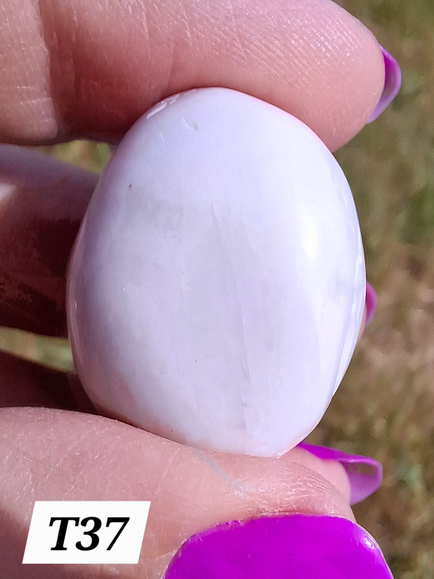 Howlite, Tumble Stone, Crystal (Ref: T38)