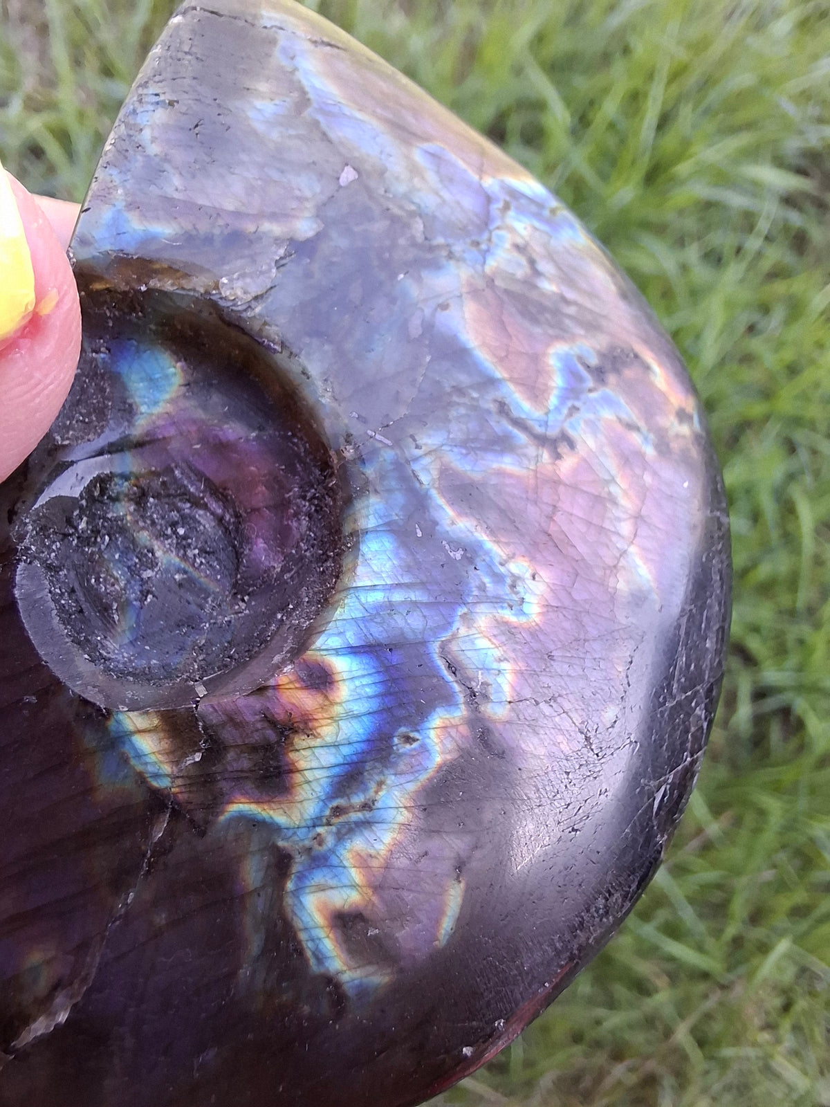 Labradorite Ammonite Carving, 89.31g, Crystal (Ref: laba6)