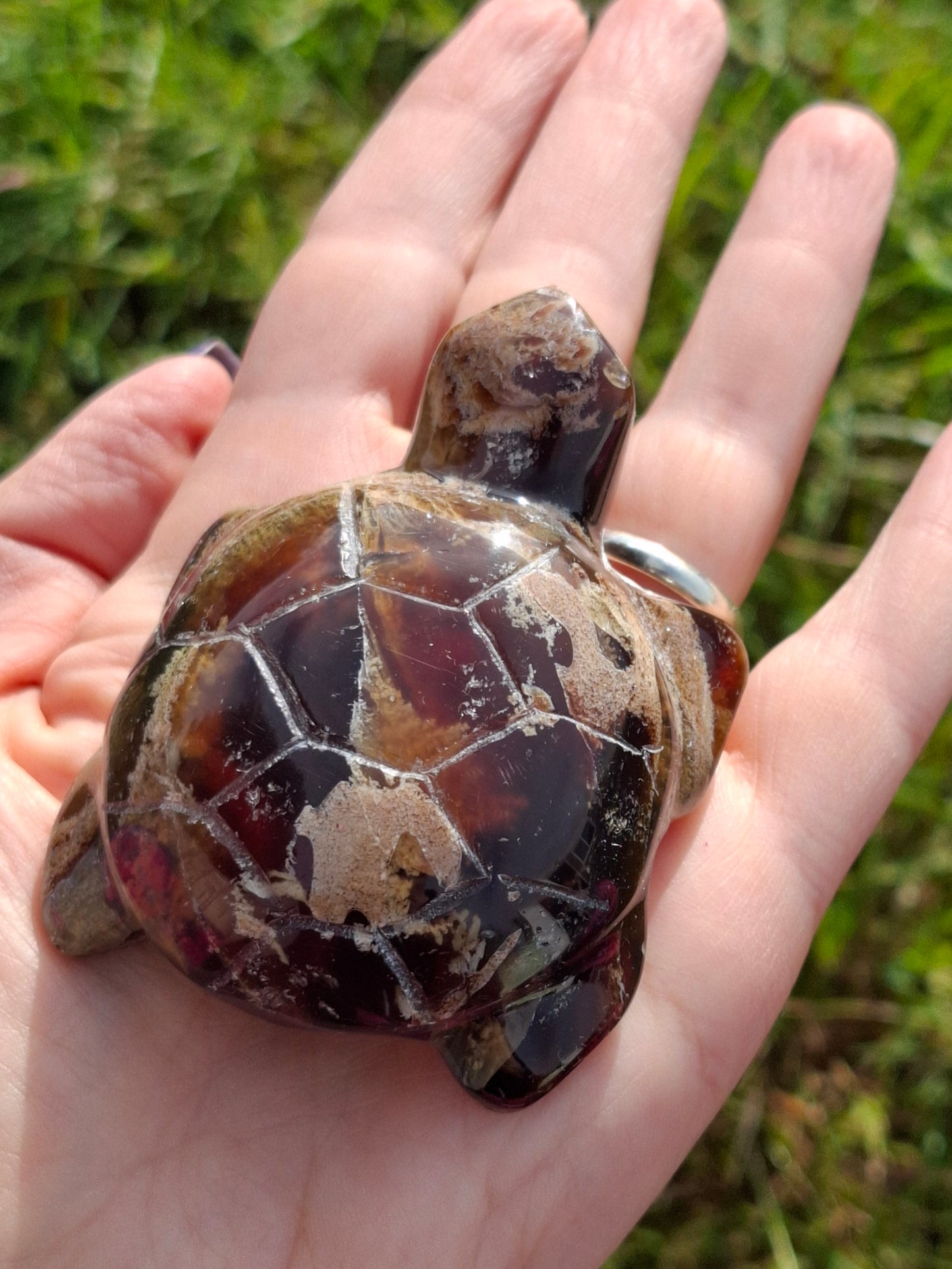 Red Amber Turtle, 56.87g, Carving, Fossil (Ref:TT7)