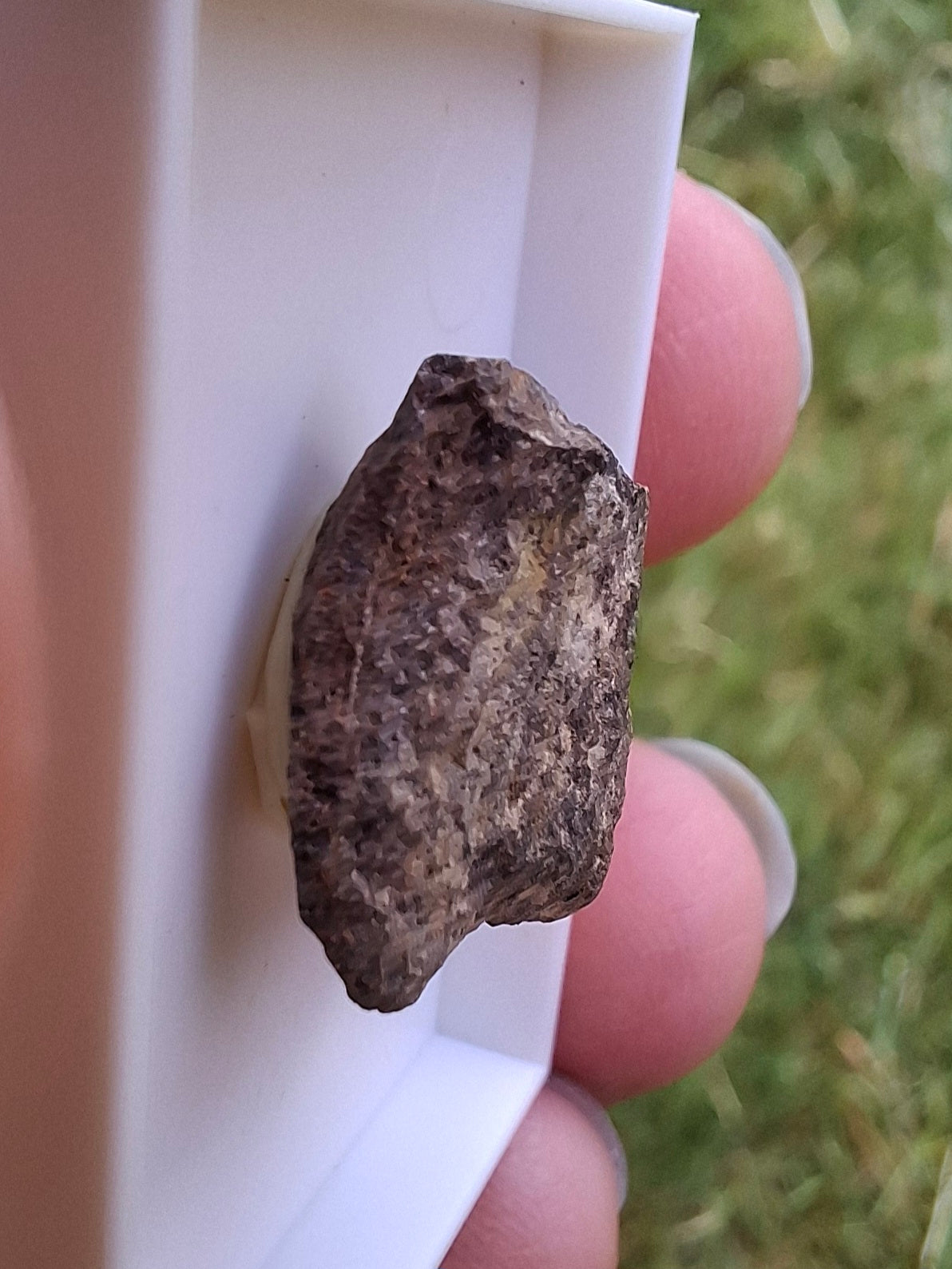 Chondrite, Meteorite (Ref: CM6)