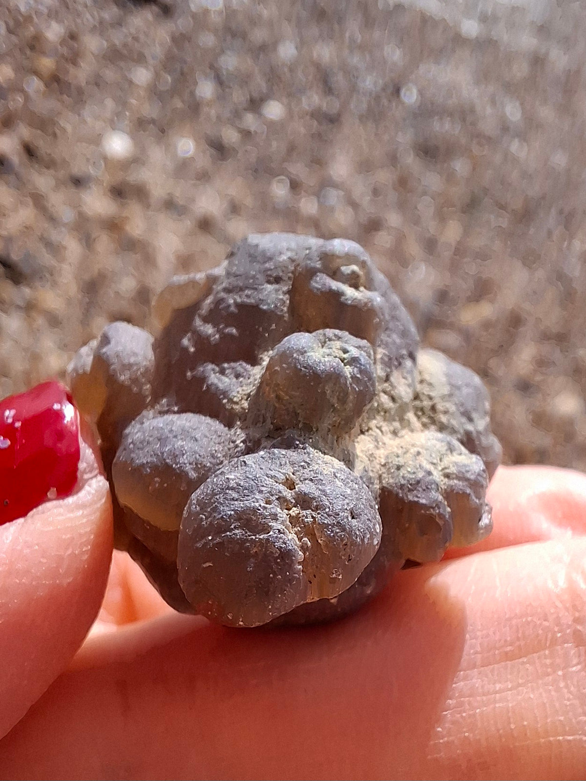 Nebula Chalcedony, 13.45g, Fossil (Ref: NC2)