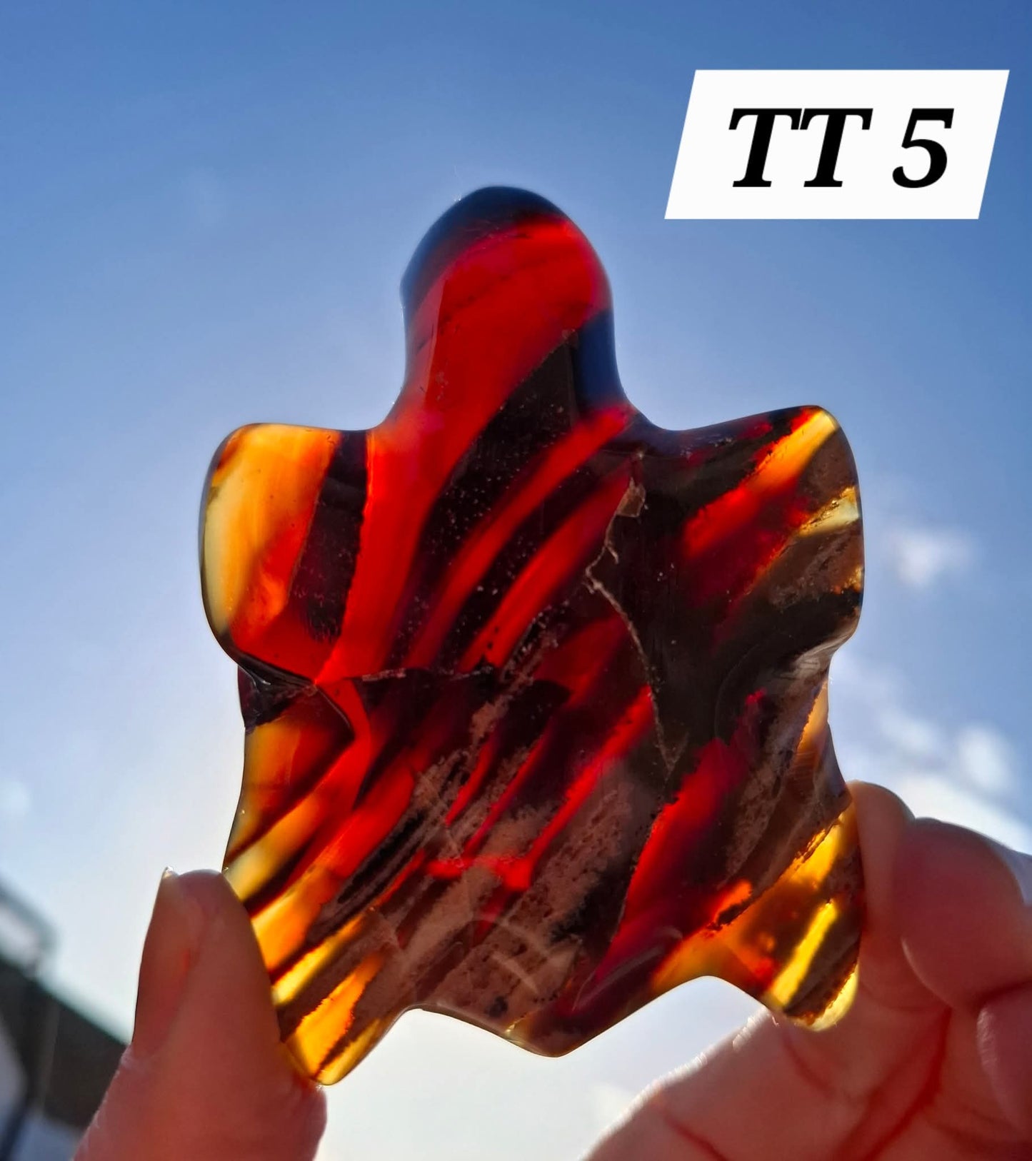 Red Amber Turtle, 59.07g, Carving, Fossil (Ref: TT5)