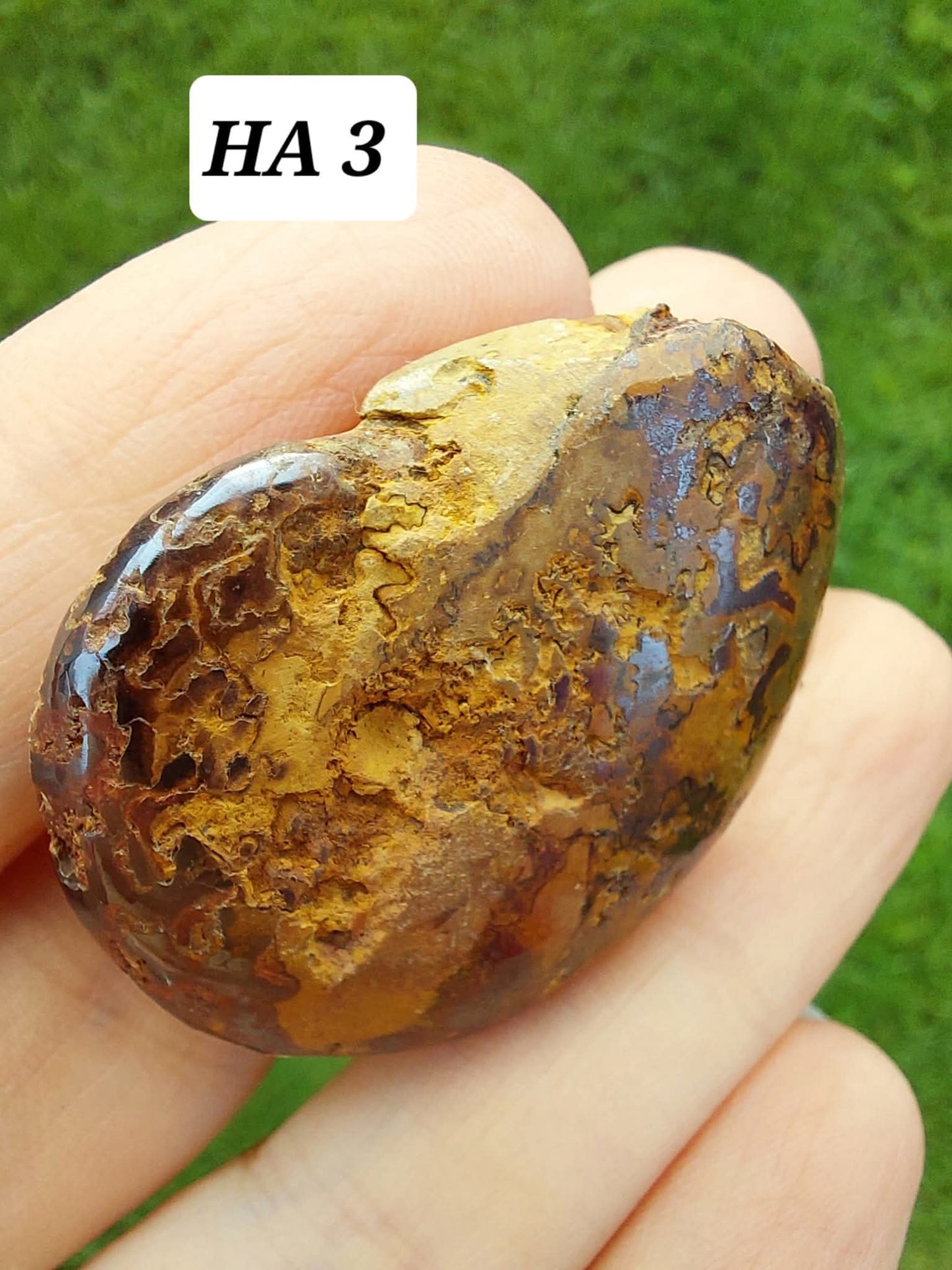 Hematite Ammonite, 16.00g, Fossil (Ref: HA3)