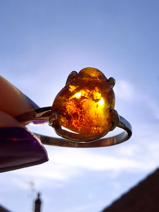 Baltic Amber Ring, size large X, 925 Silver, Fossil (Ref: AR34)